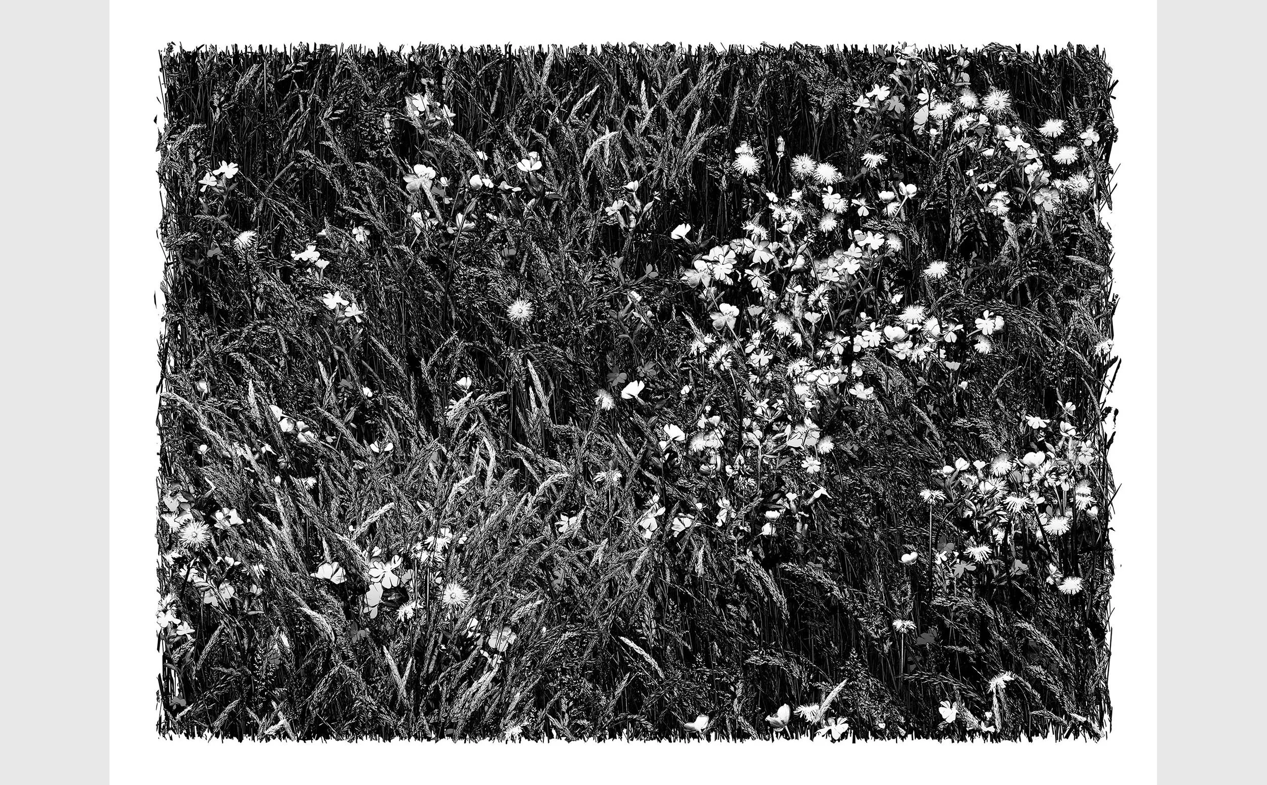 Dwelling No 1 (2023). 91 x 124 cm (Click to zoom)