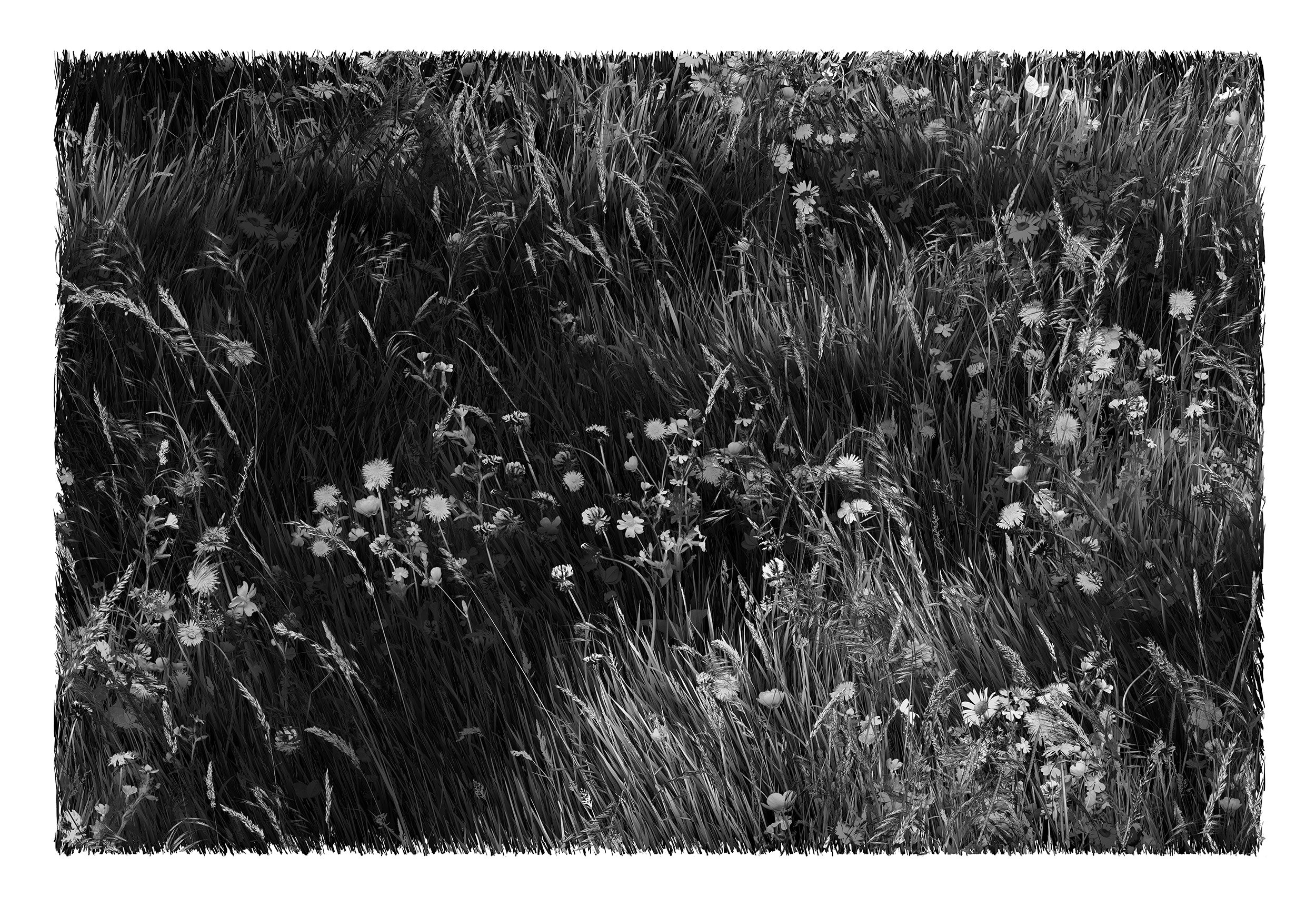 Somewhere Session 57 Crop 3