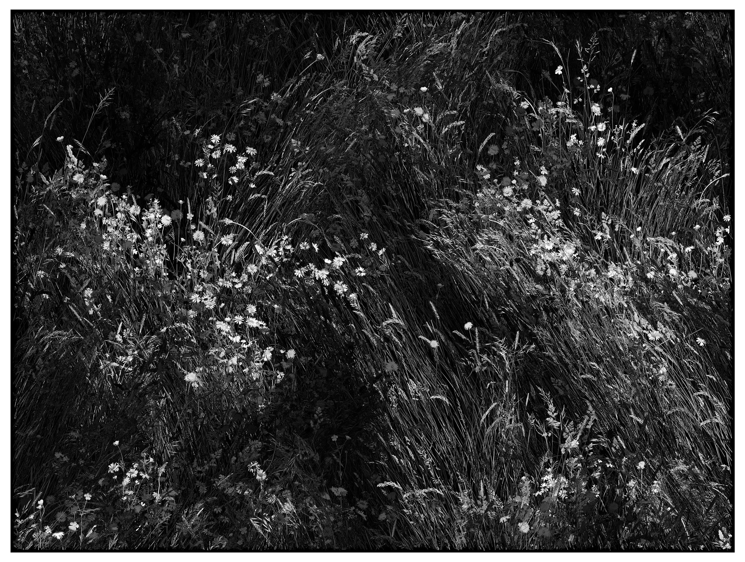 Inner Light - suggested size 84cm x 112cm