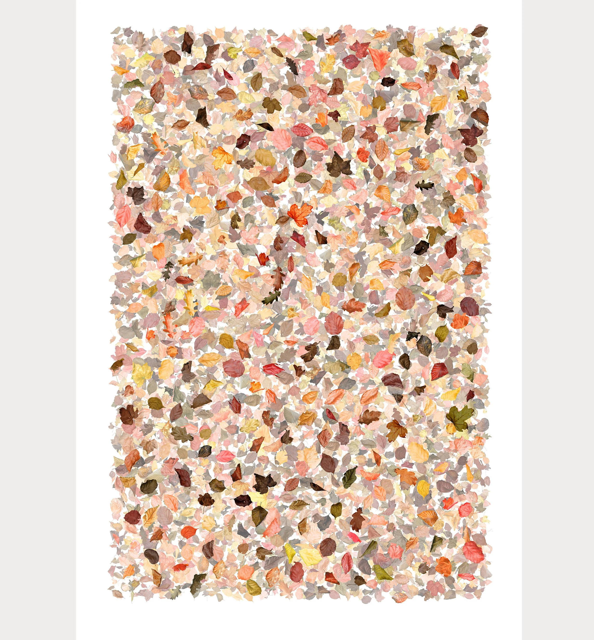 Falling Leaves 2a. 112 x 91cm