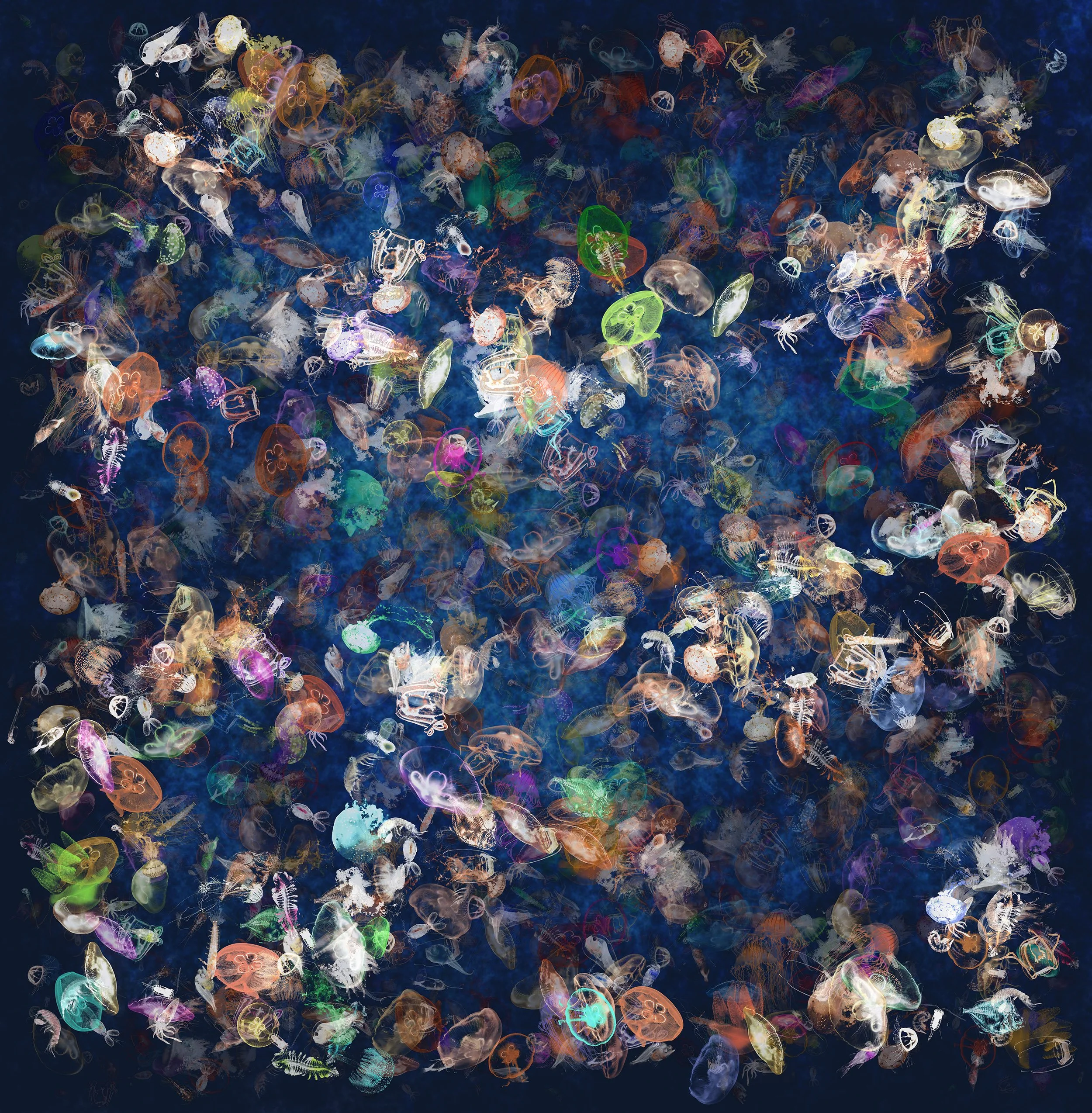 Microcosm (2018). Commissioned by P&O 91cm x 91cm on glass