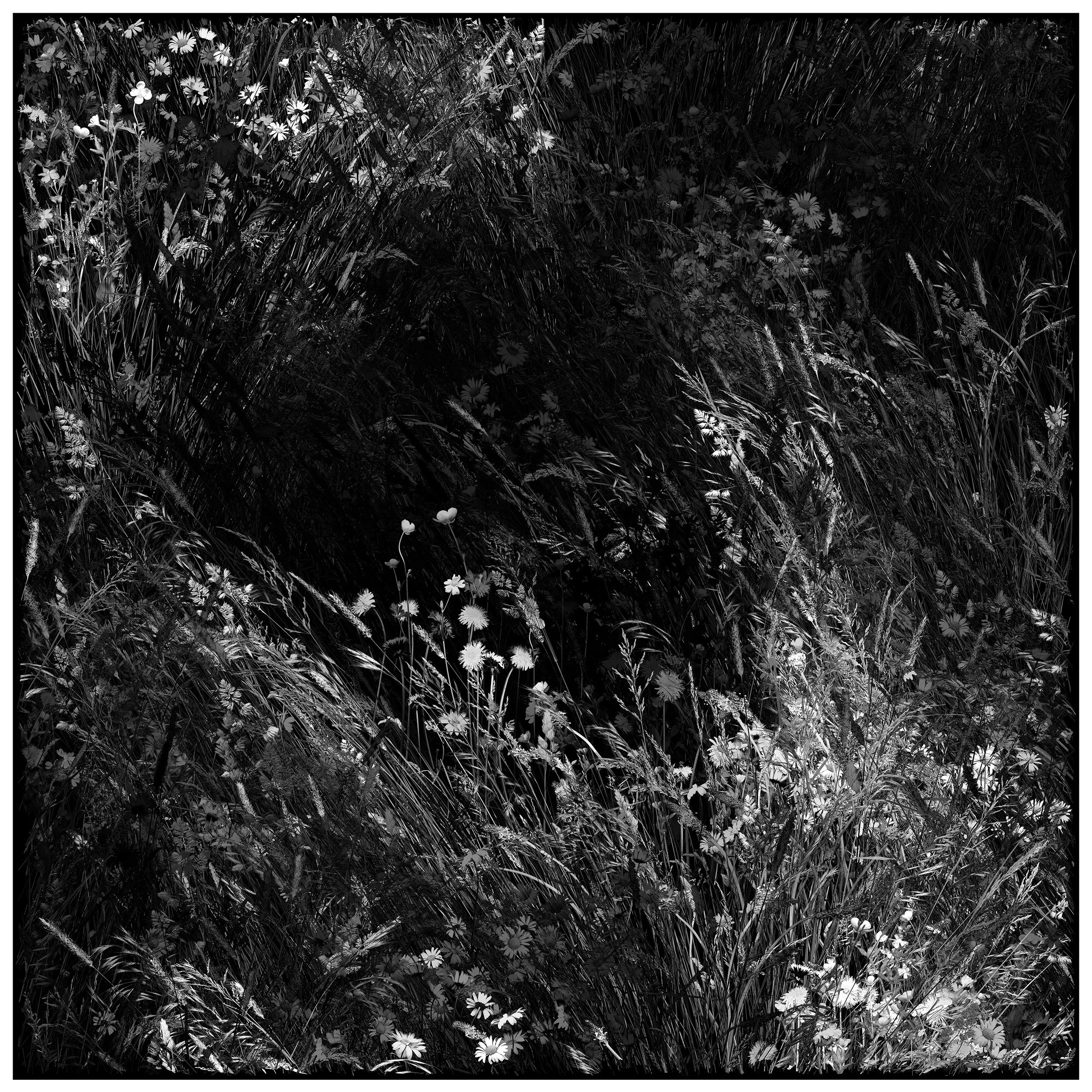 Hollow. 61 x 61 cm