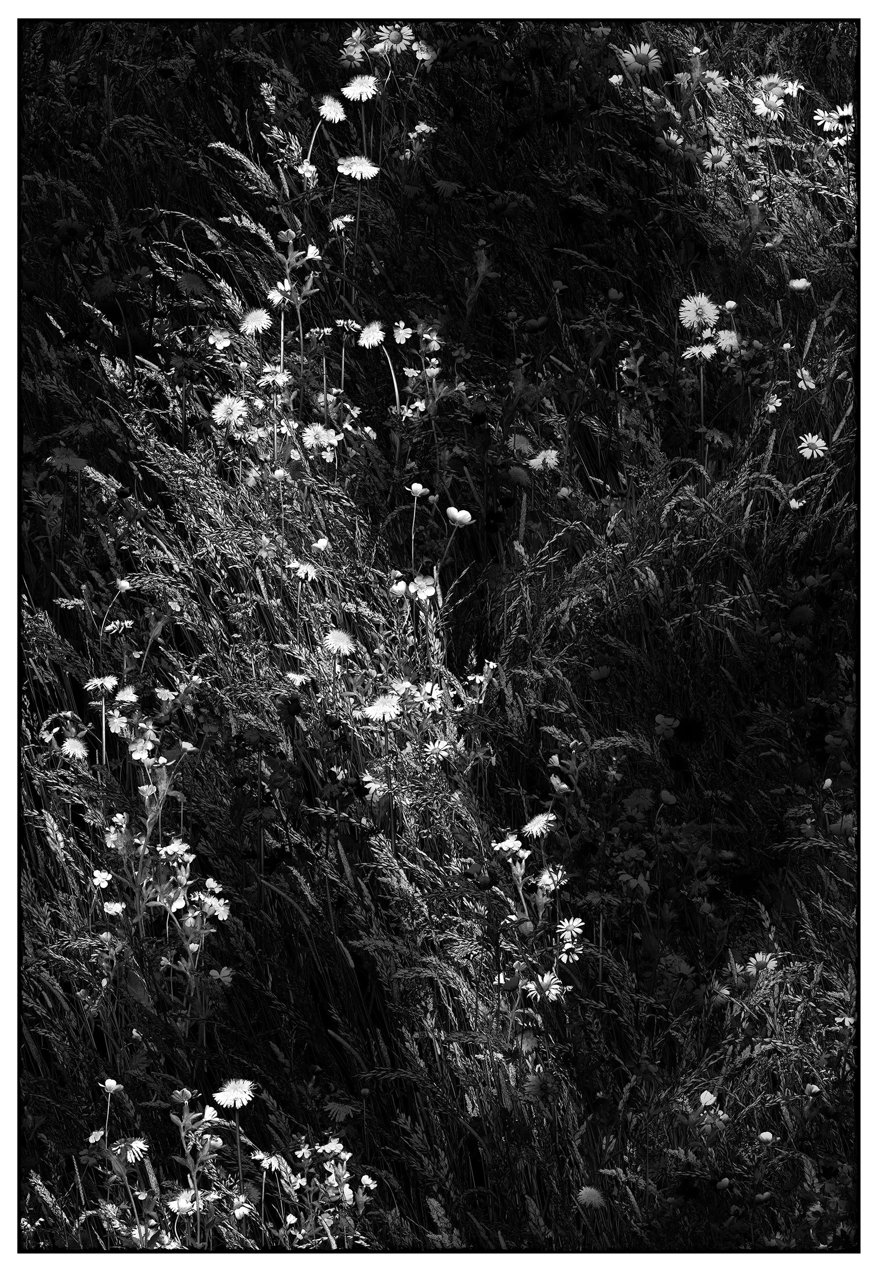 Vertical Composition 2 - Suggested size 91 cm x 61 cm