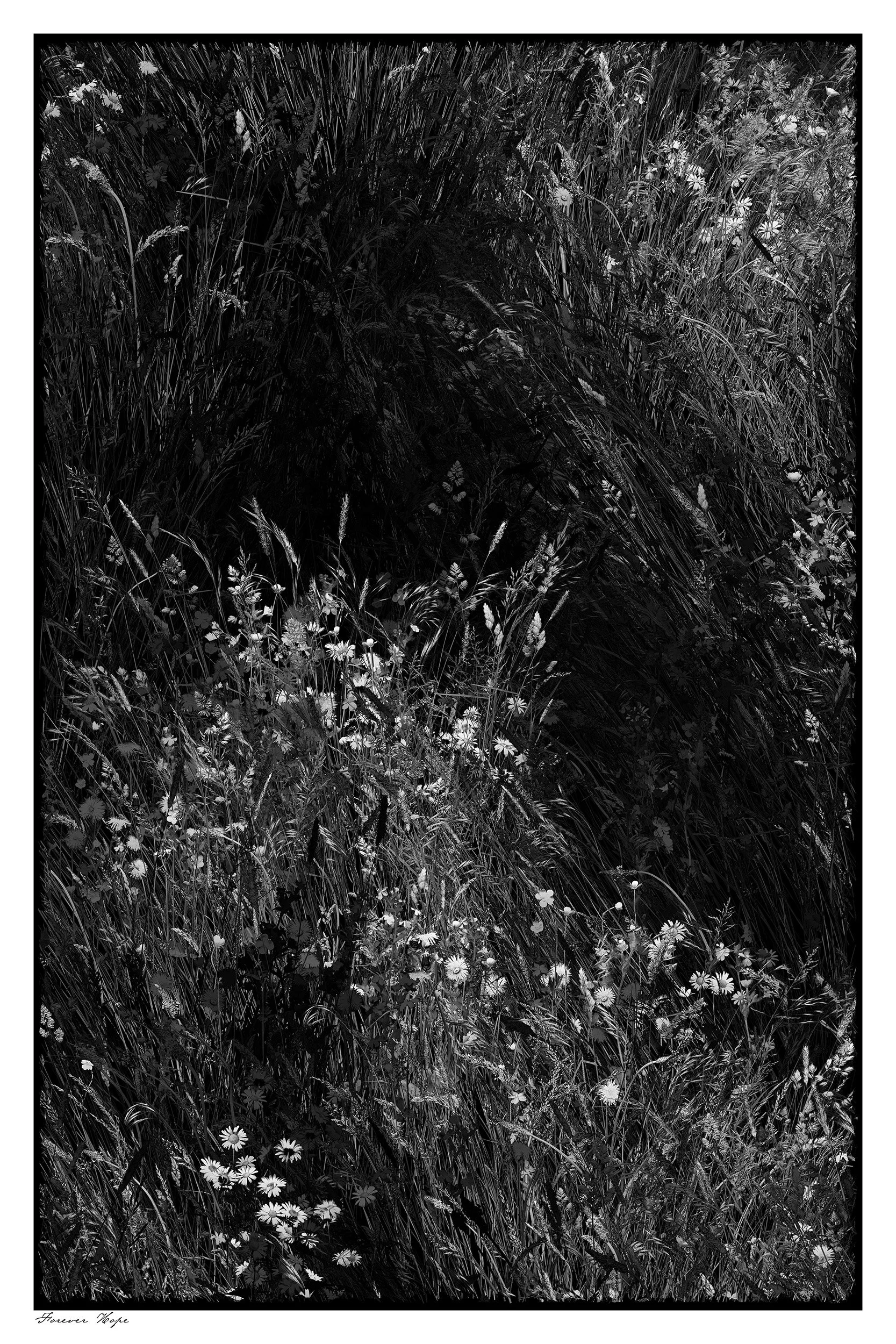 Forever Hope.  Suggested size 91 cm x 61 cm