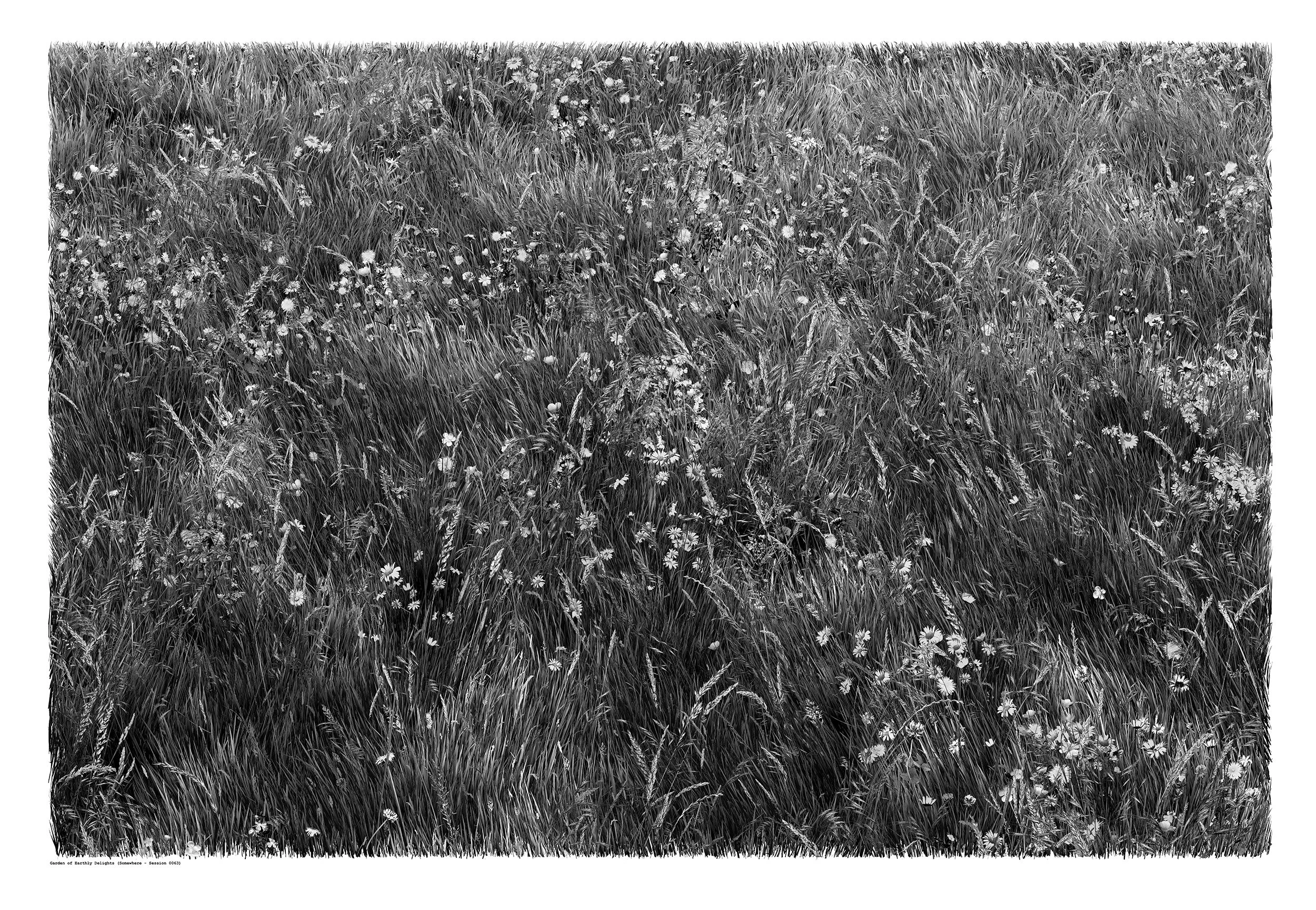 The Garden of Earthly Delights (Somewhere No. 1) - 76cm x 112cm