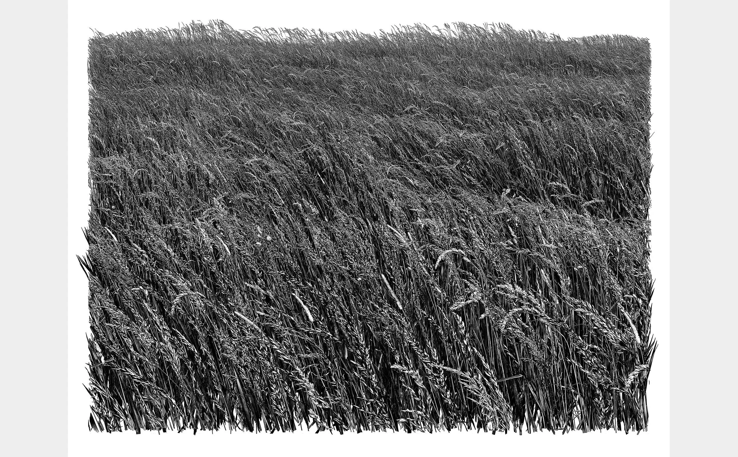 Empire of Wind #1 (2023). 91 x 124 cm (Click to zoom)