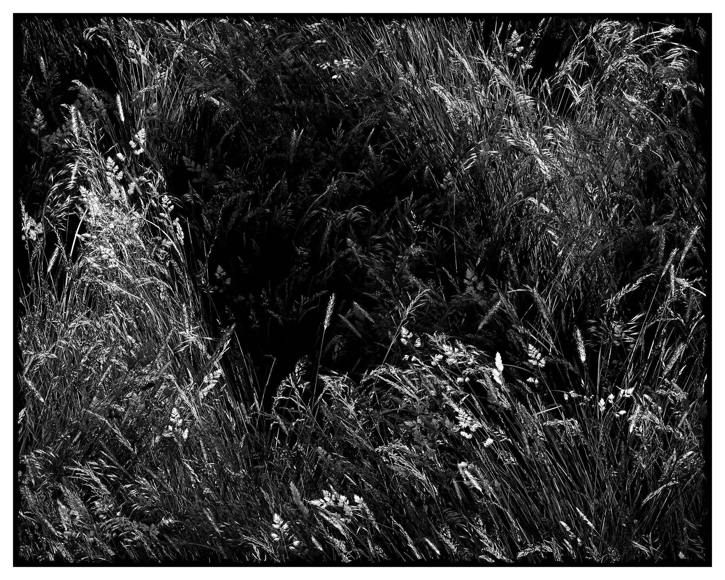 Small Landscape - Suggested size 46 cm x  61 cm