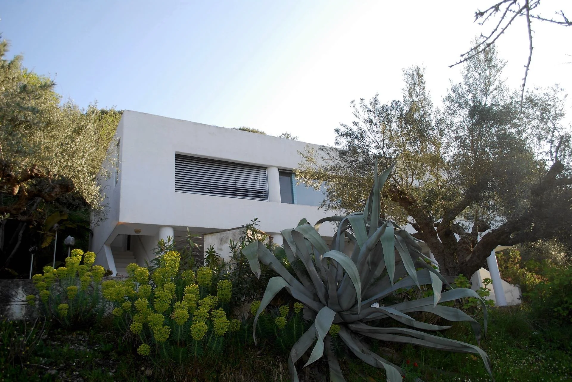 Guesthouse00003.jpg