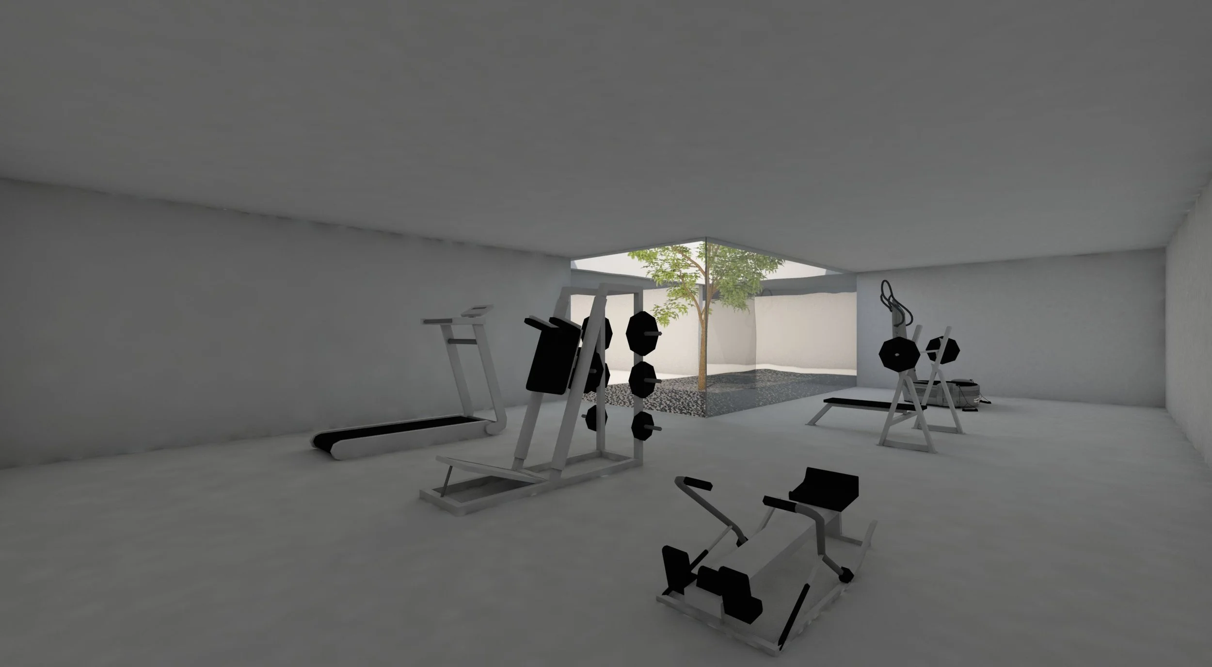 219 Teaser - Gym.jpg