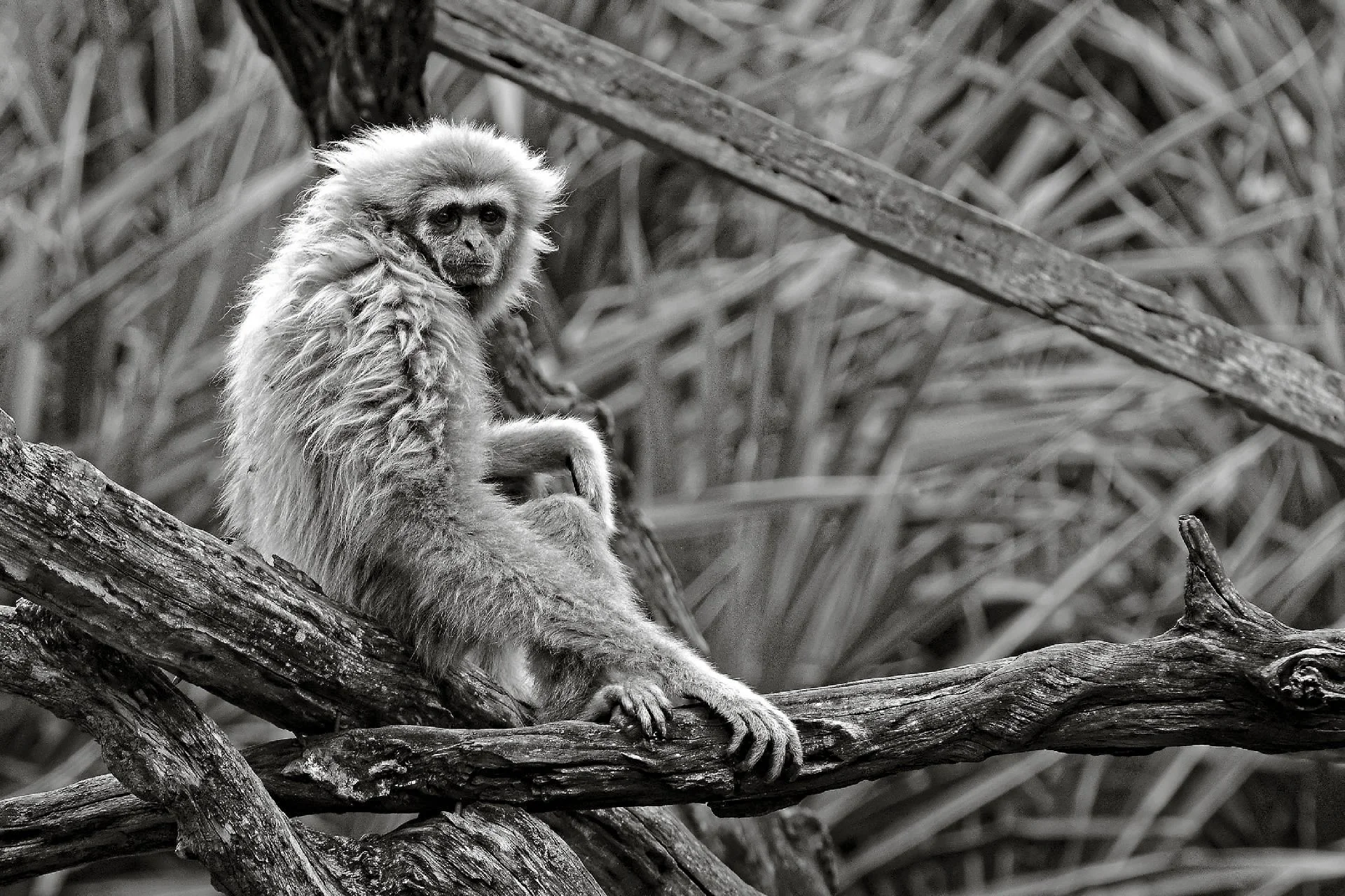 DSC_3681 2_DxO 2.jpg