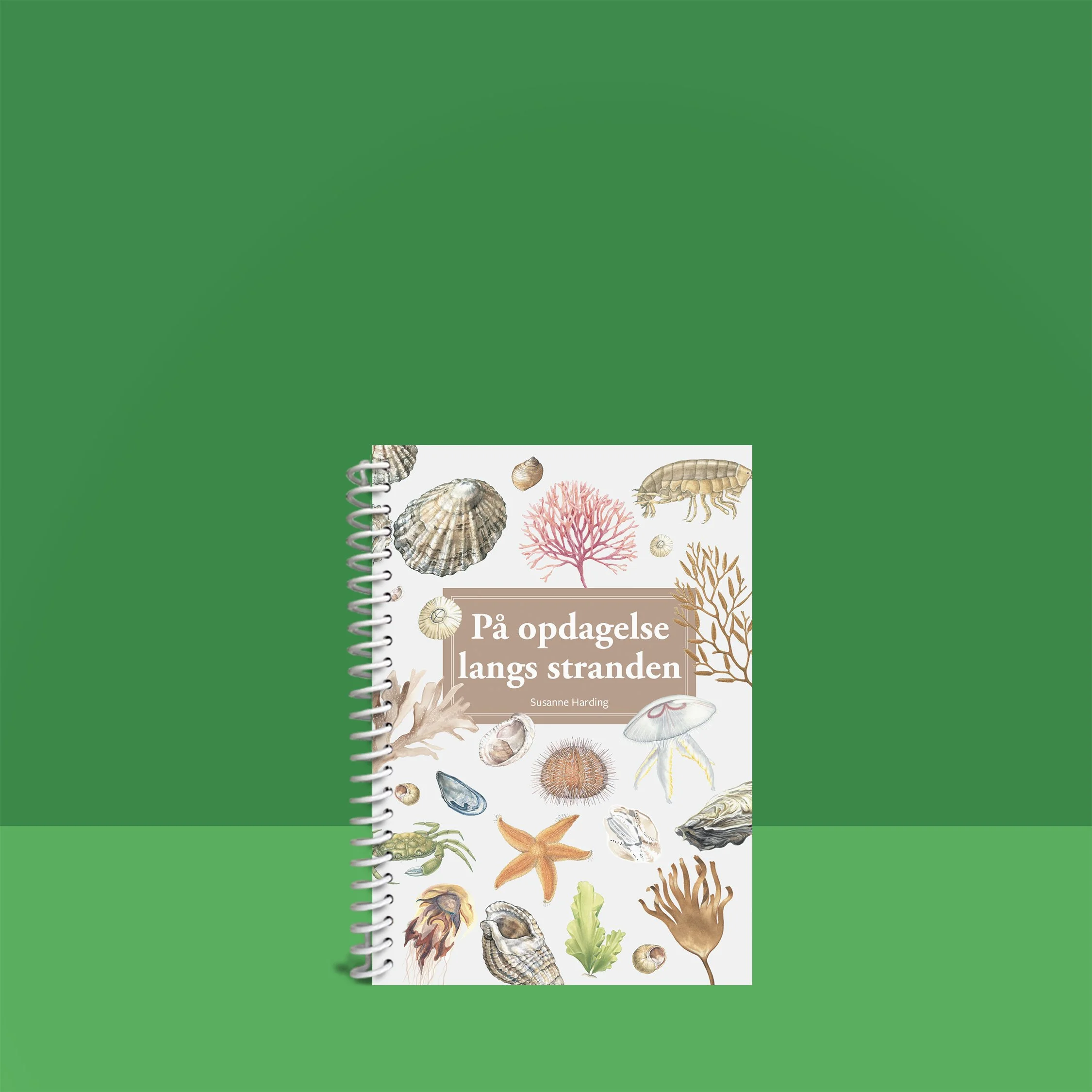 spiral mockup på opdagelse ved stranden.jpg