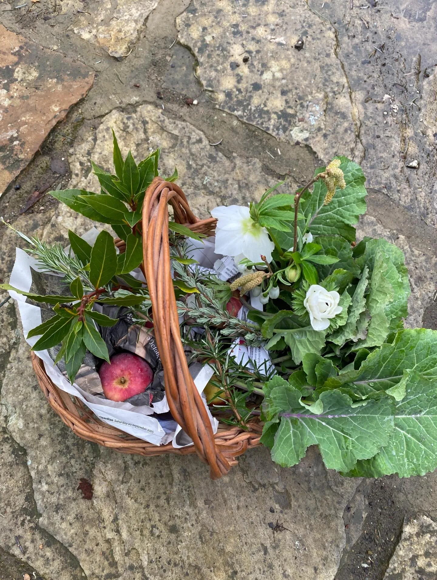 A basket of loveliness for the loveliest of friends&hellip;apples stored from autumn, perennial kale, thyme, bay, rosemary, snowdrops and the first cut hellebores and anemones. Gifts from the Earth.