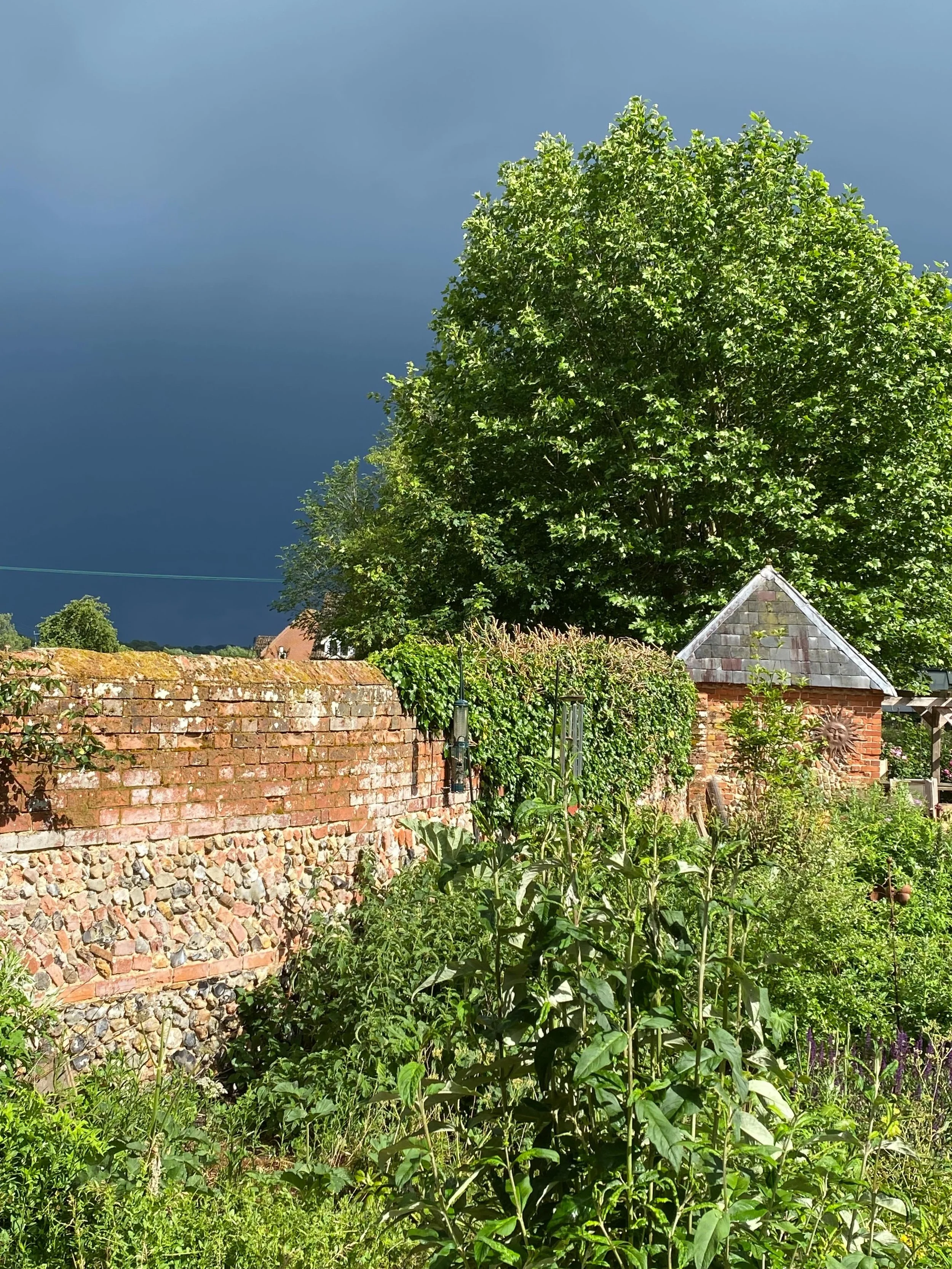 Serious Suffolk skies.