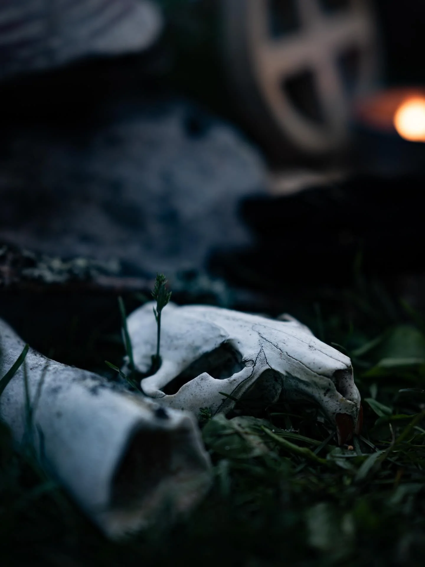 Together with @jespermannklan, we&rsquo;re making the final preparations for our last workshop of the year &mdash; I&rsquo;m once again reminded of how unique the Norse journey-cosmology truly is. Techniques and understandings not borrowed from elsew