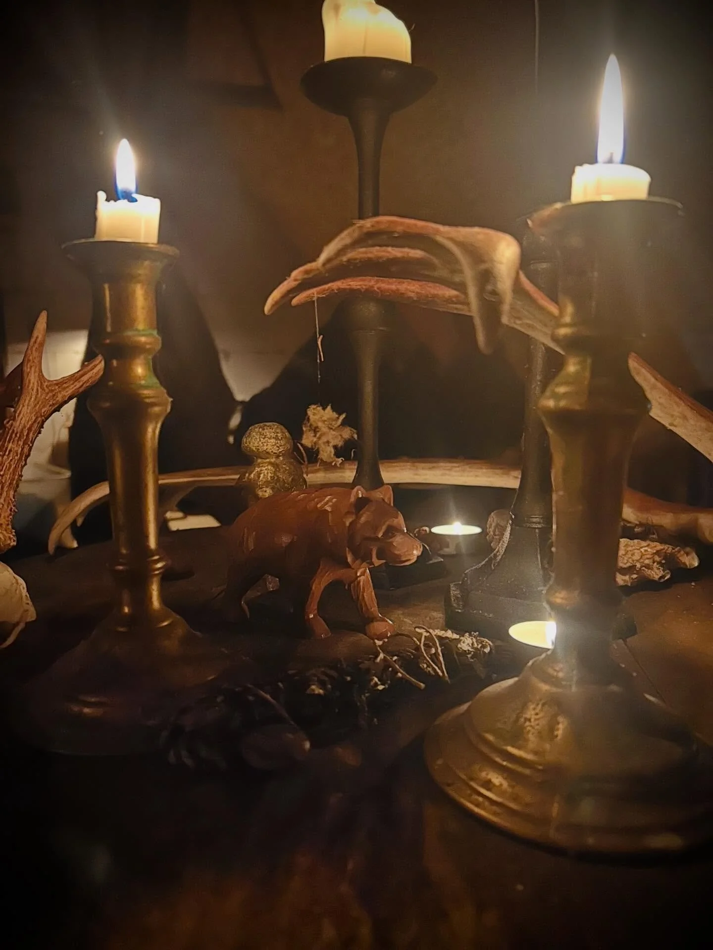 So I finally had a long-awaited &ldquo;utesitting&rdquo;,
and very grateful to those who made it possible.

Denmark may not be the great wilderness like Norway,
but it is still possible to sit out and connect.

&ldquo;Utesitting&rdquo; is a simple pr