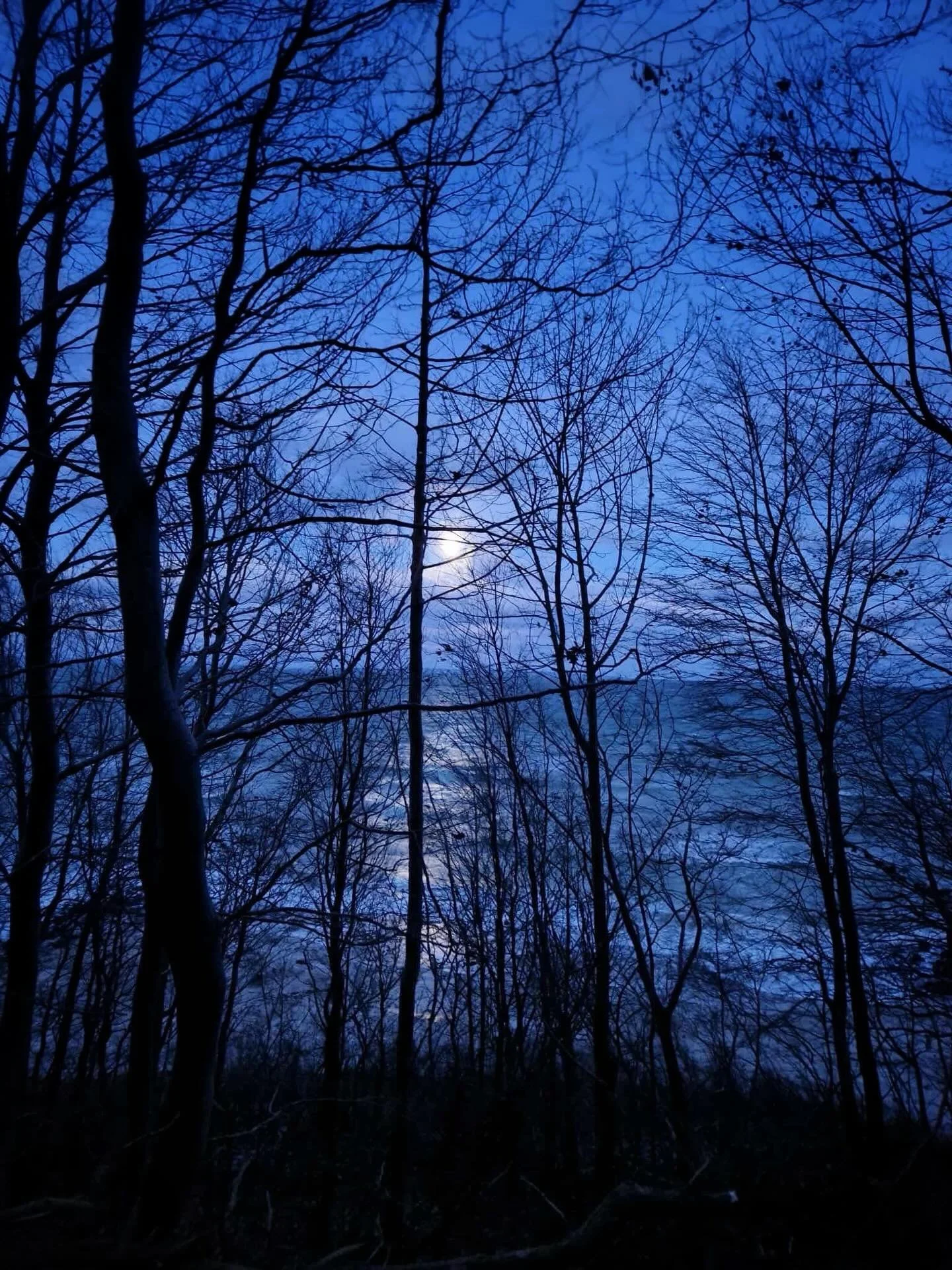 We are on our way to Rold Skov, Denmark&rsquo;s great forest, for the second gathering of Walking in the Nordic Paths.

The first gathering, shown in these images, took place just outside Aarhus, where sea and forest met.
Fire and water were our comp