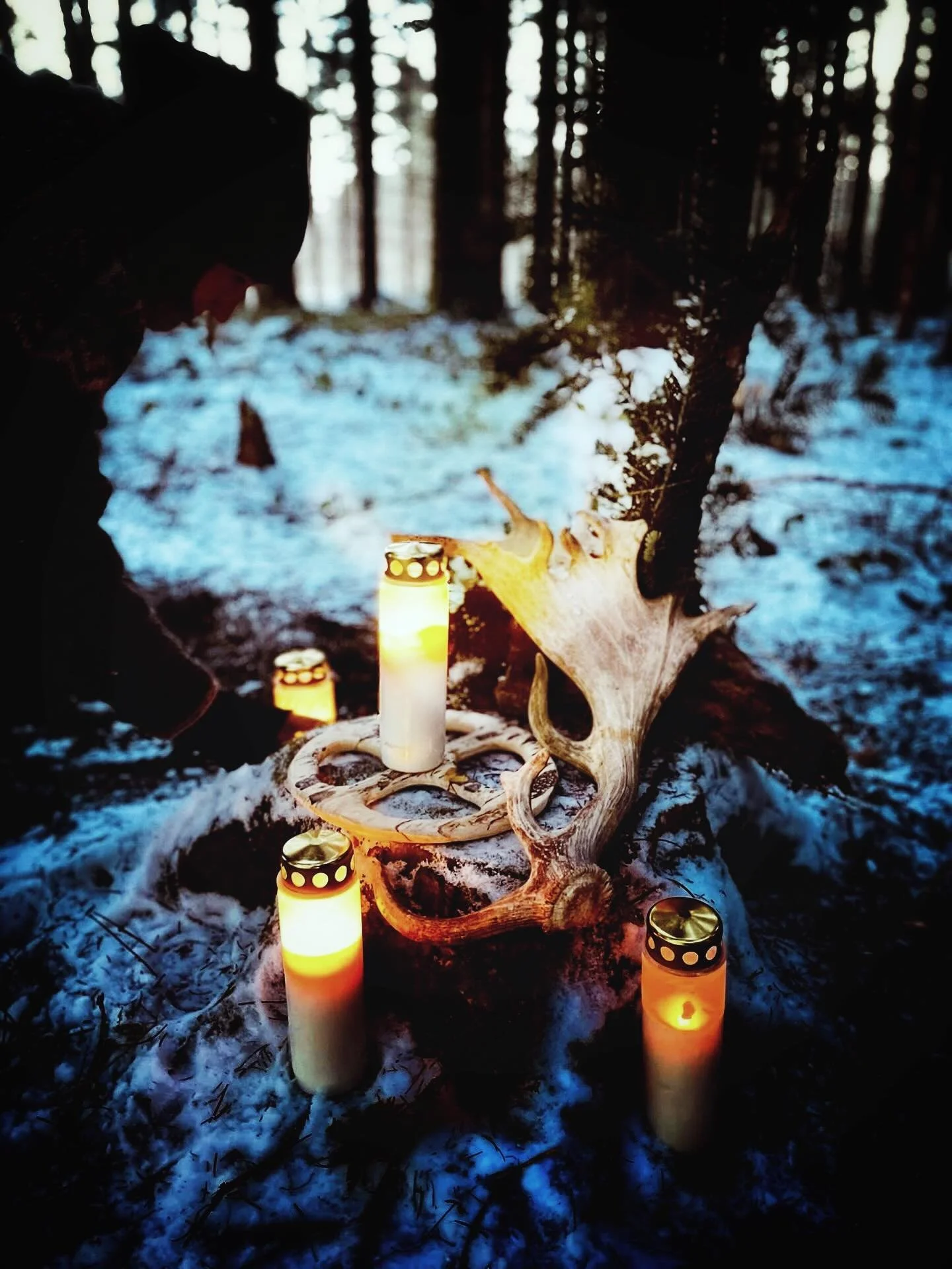 At Module 6 of the nature therapy training in January, we worked in a winter that was highly unusual for Denmark &mdash; with frost, biting cold, and temperatures down to &minus;15&deg;C, conditions I had not experienced since I myself took part in t