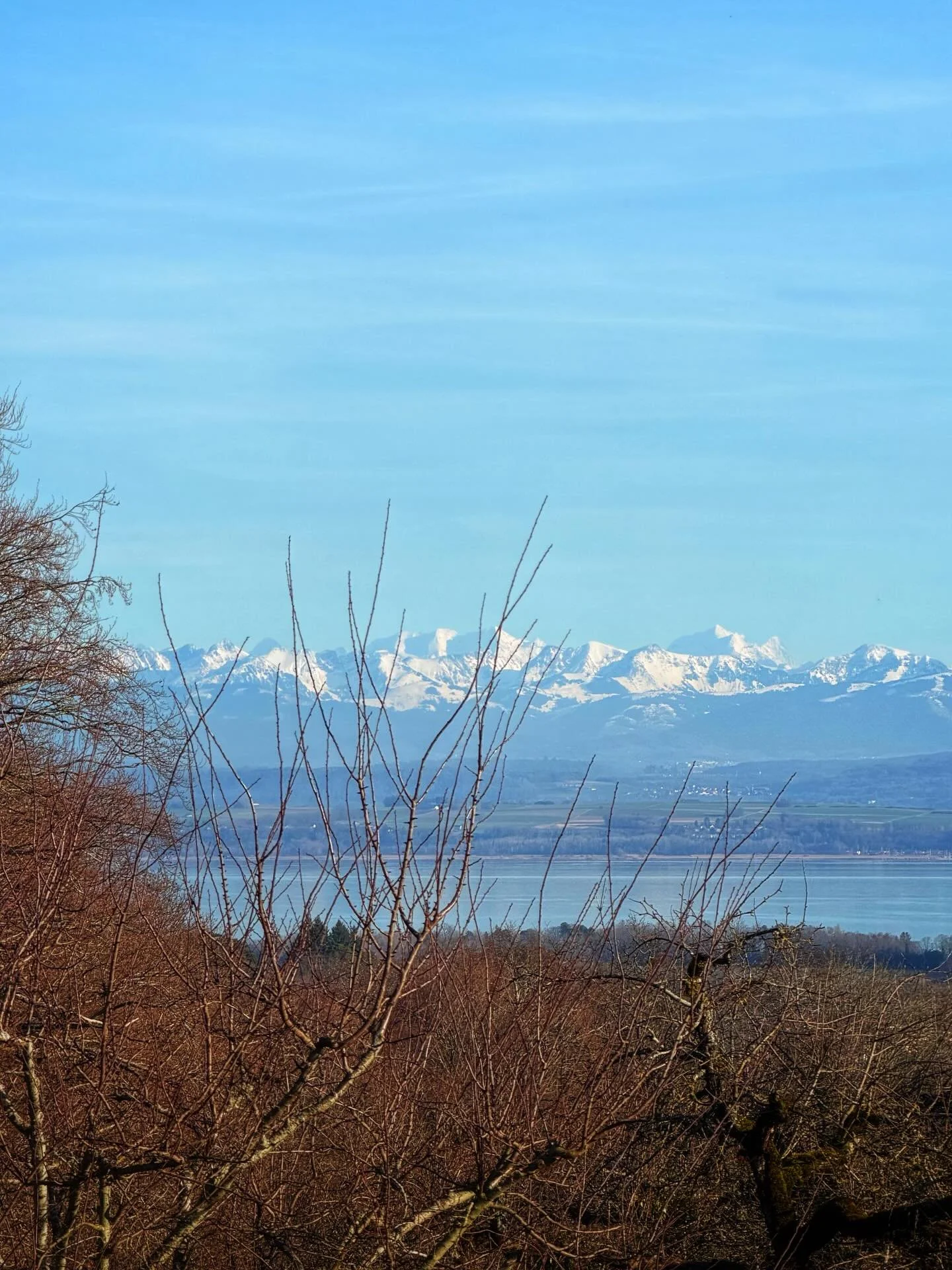 First time in Switzerland since I was a child.

What a beautiful place &mdash;
the Alps in the background,
larger than a phone camera can ever capture.

It has been a long winter full of snow.
We left rainy Denmark behind &mdash; mud, fog, and low gr