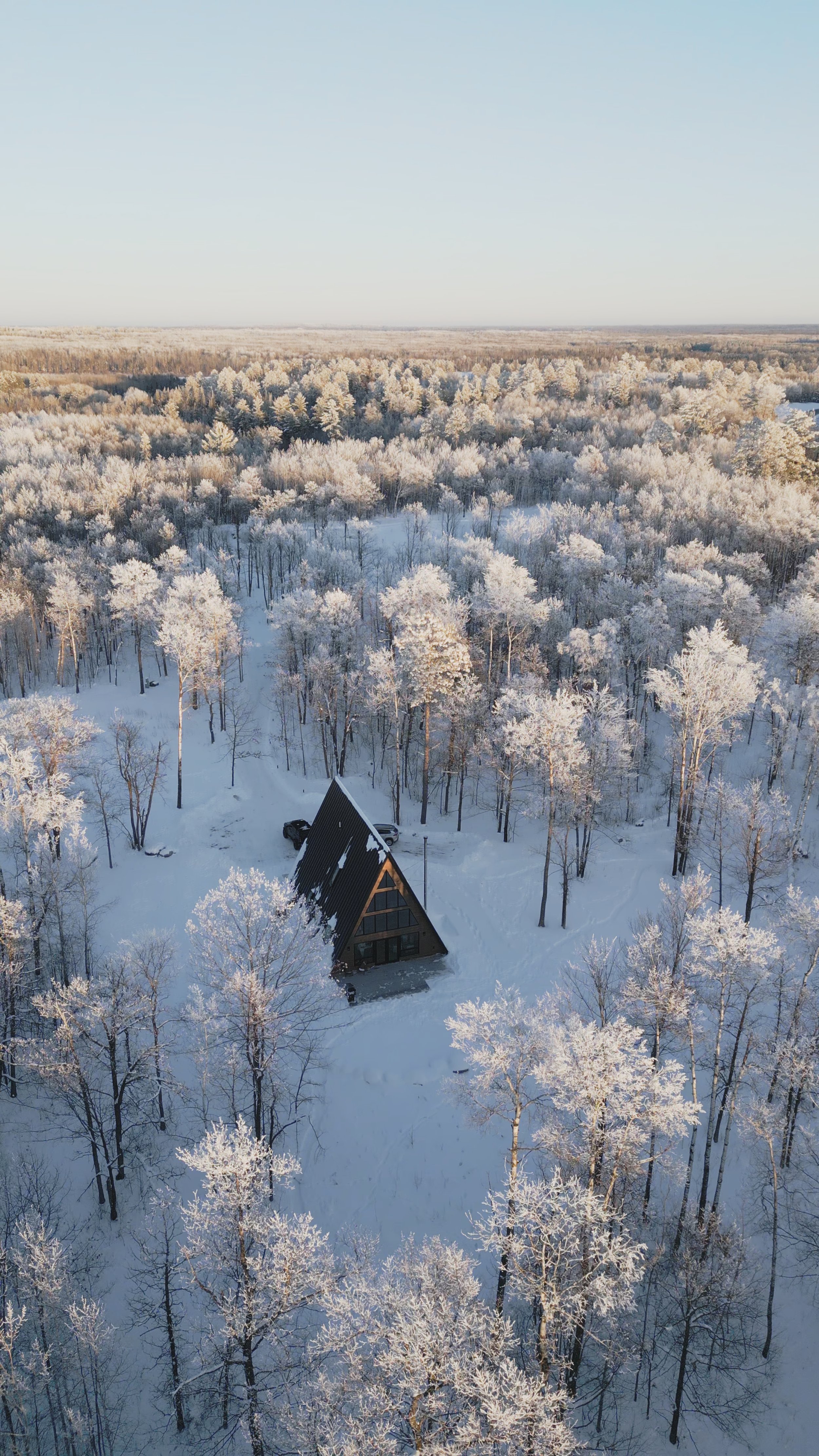 drone aframe_2.2.1.jpg