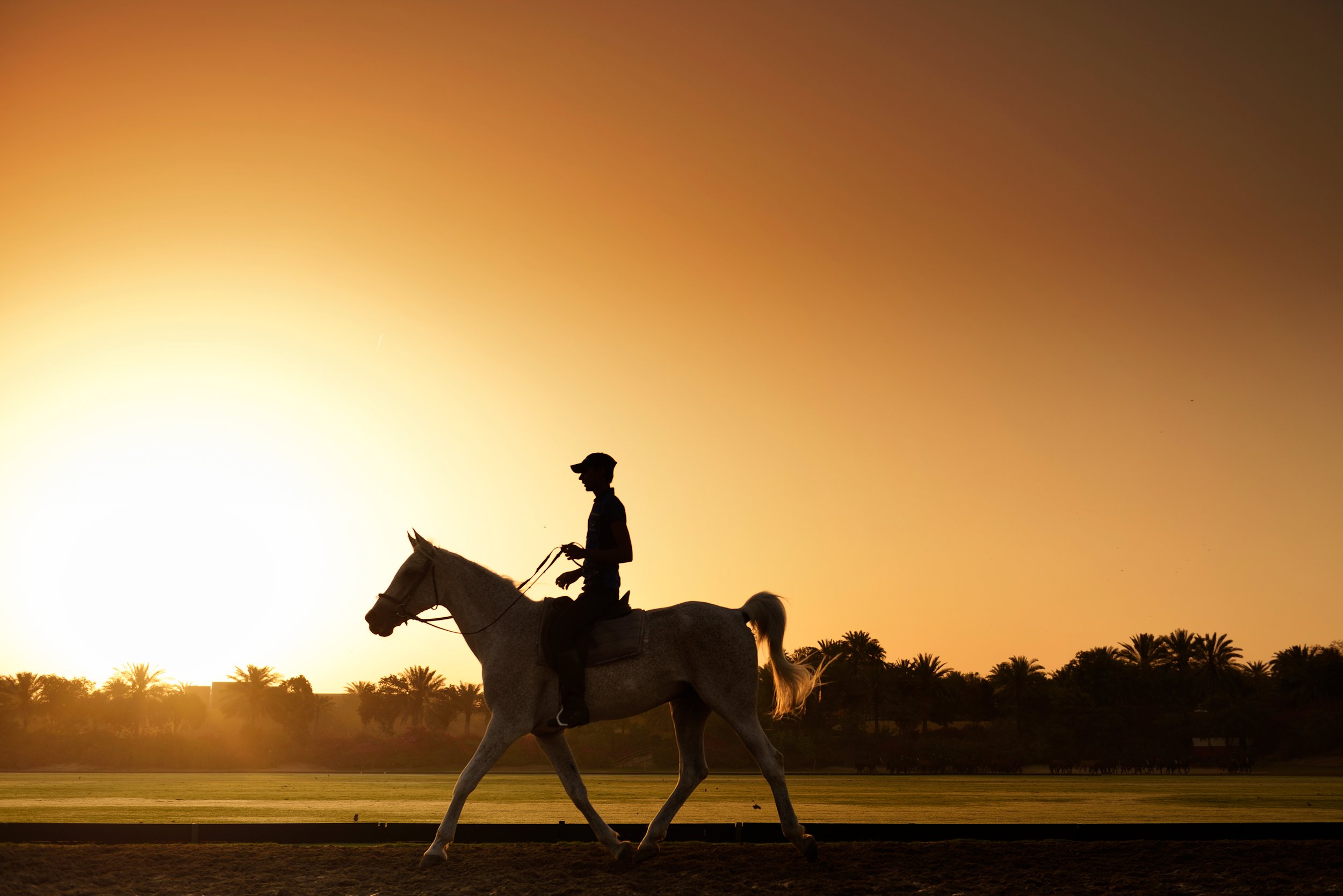 Horse-Sunset-copy-2.jpg