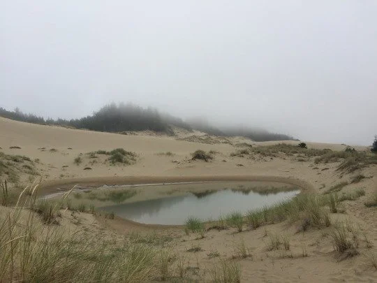 dunes2.jpeg