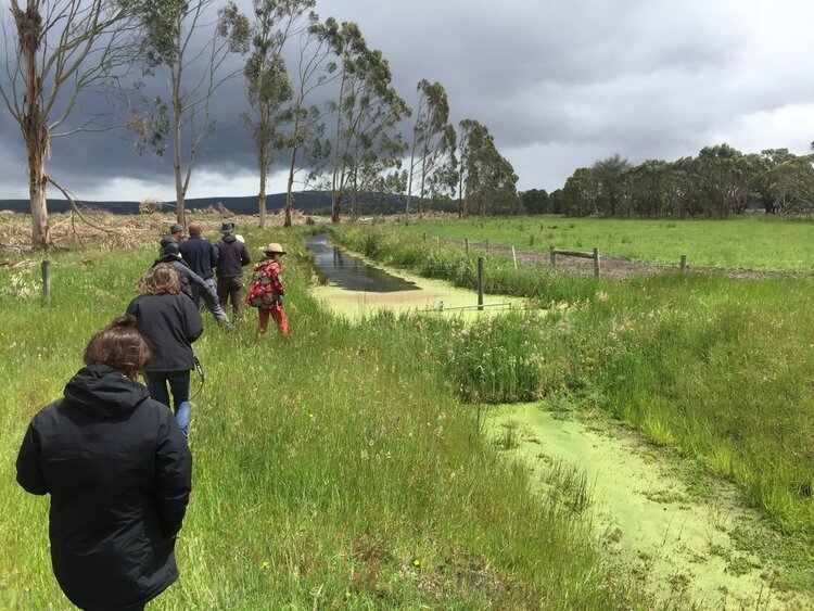 Land Arts in the Limestone Coast (Part 2): November Retreat