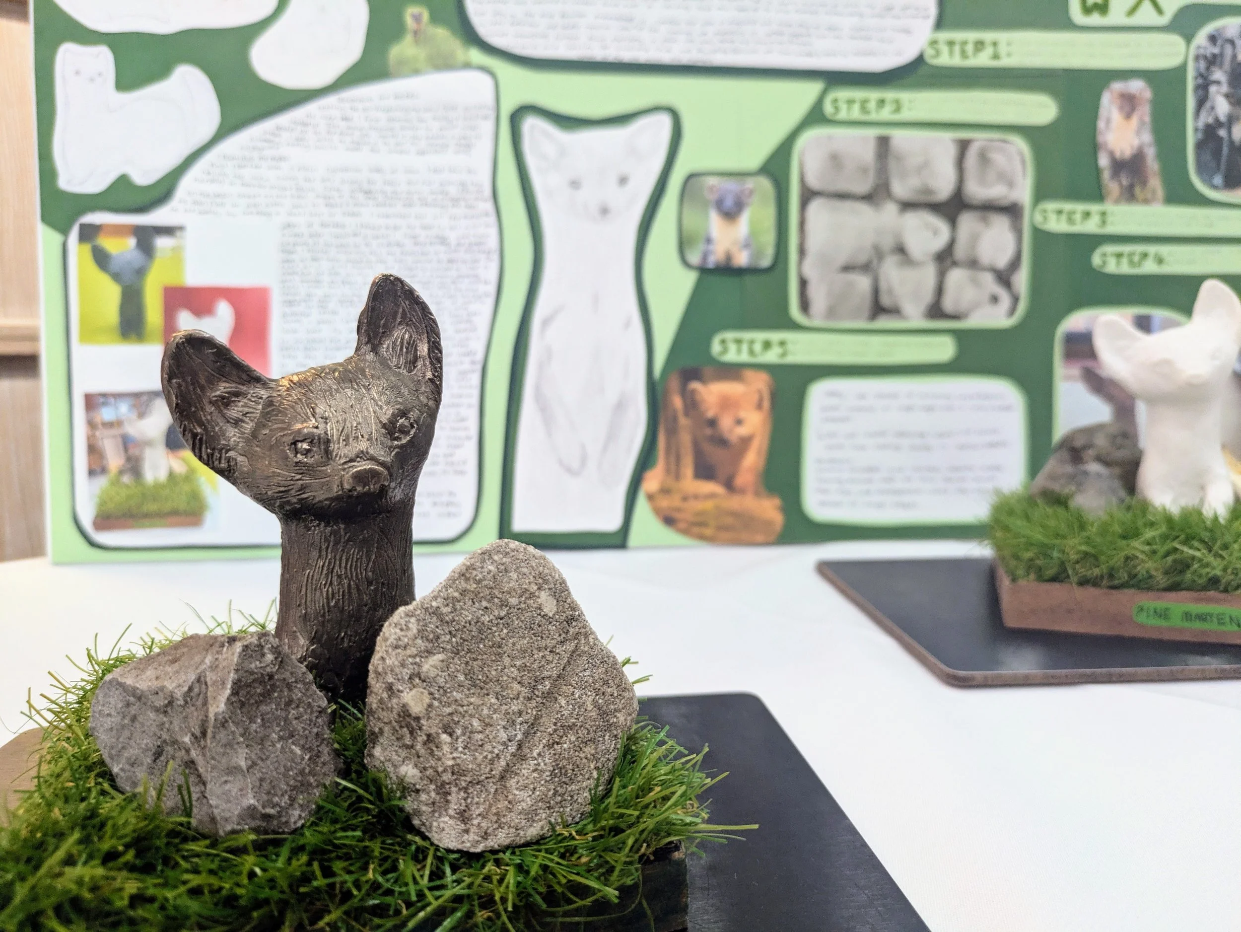 Flora, Fauna and Founders enrich school curricula