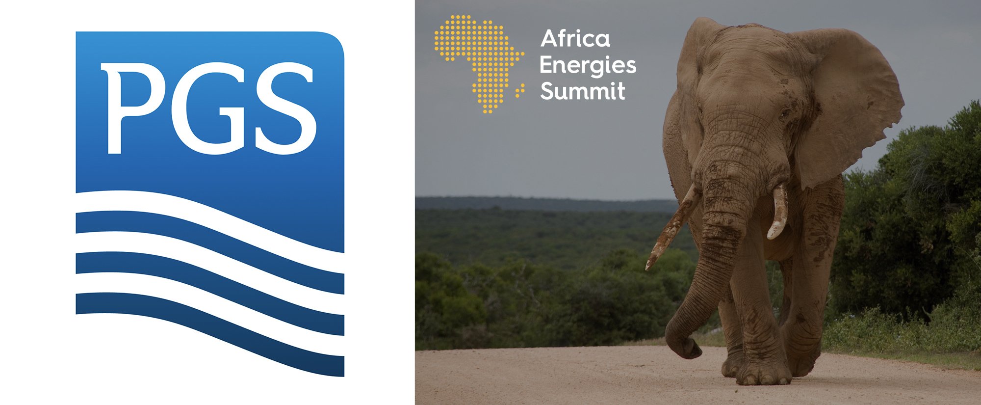 Africa Energies Summit Gold Sponsor - PGS