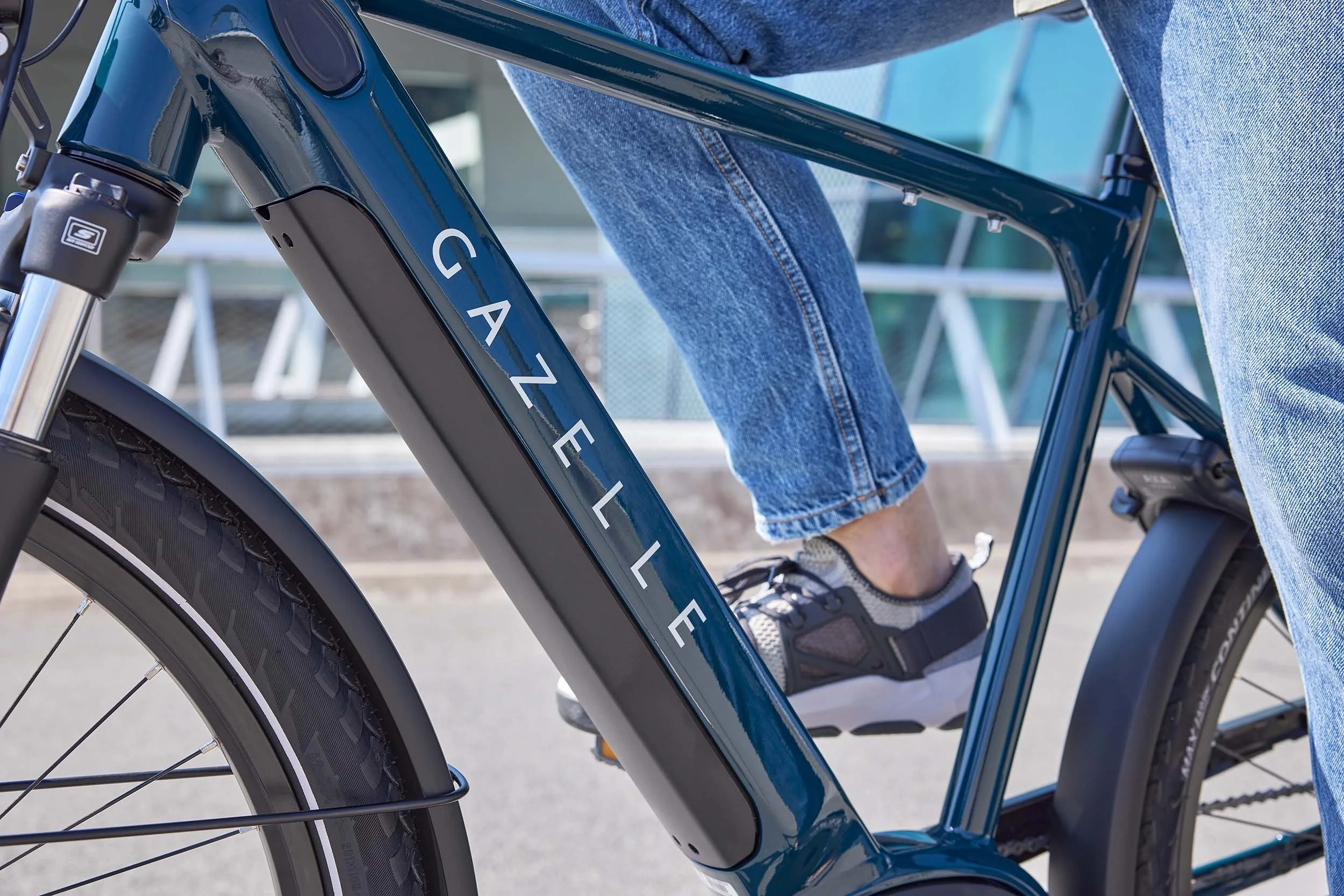 Gazelle - Medeo - 06062023_ 0253_WLR.jpg