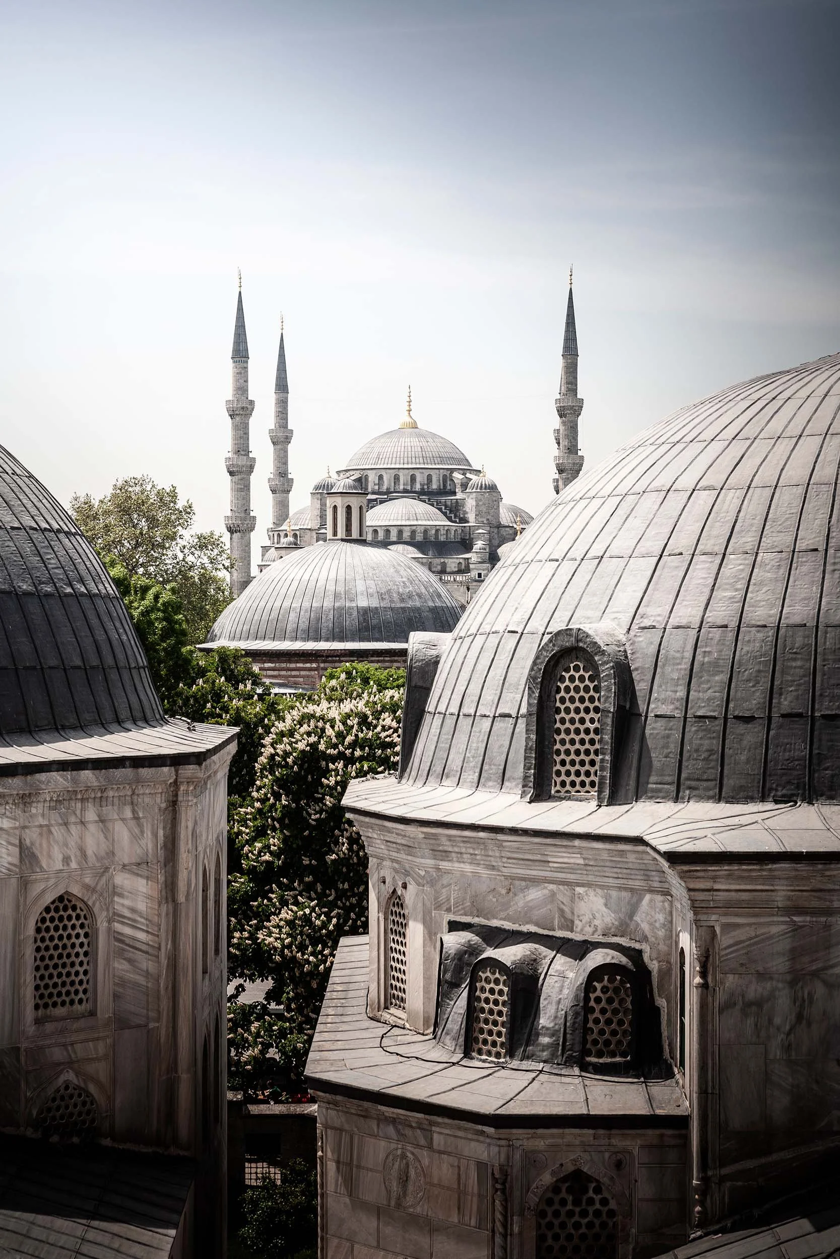 Blue Mosque, Istanbul, Turkiye