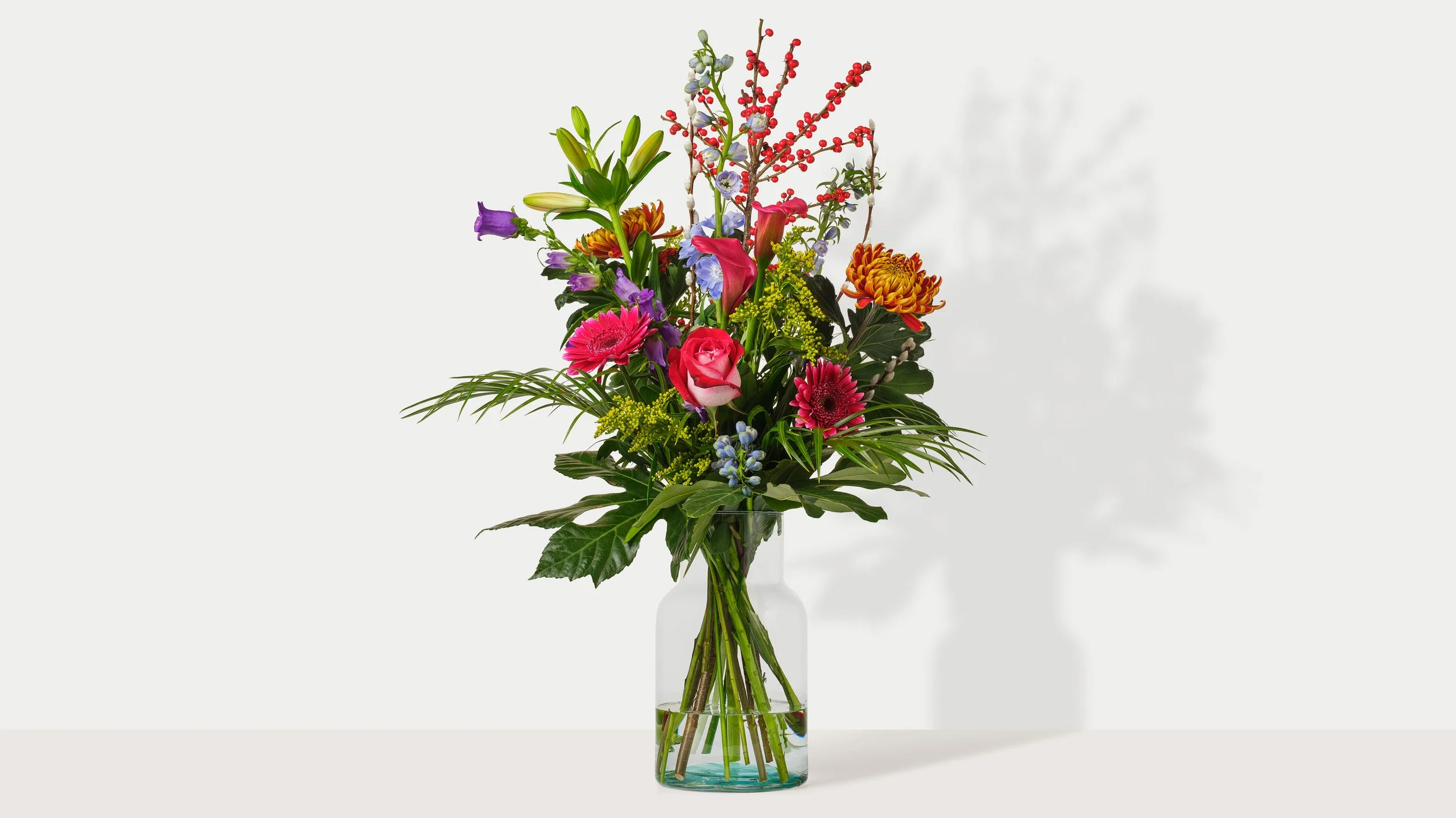 Bloemen_Winter_Vrolijk_Veld_V.jpg