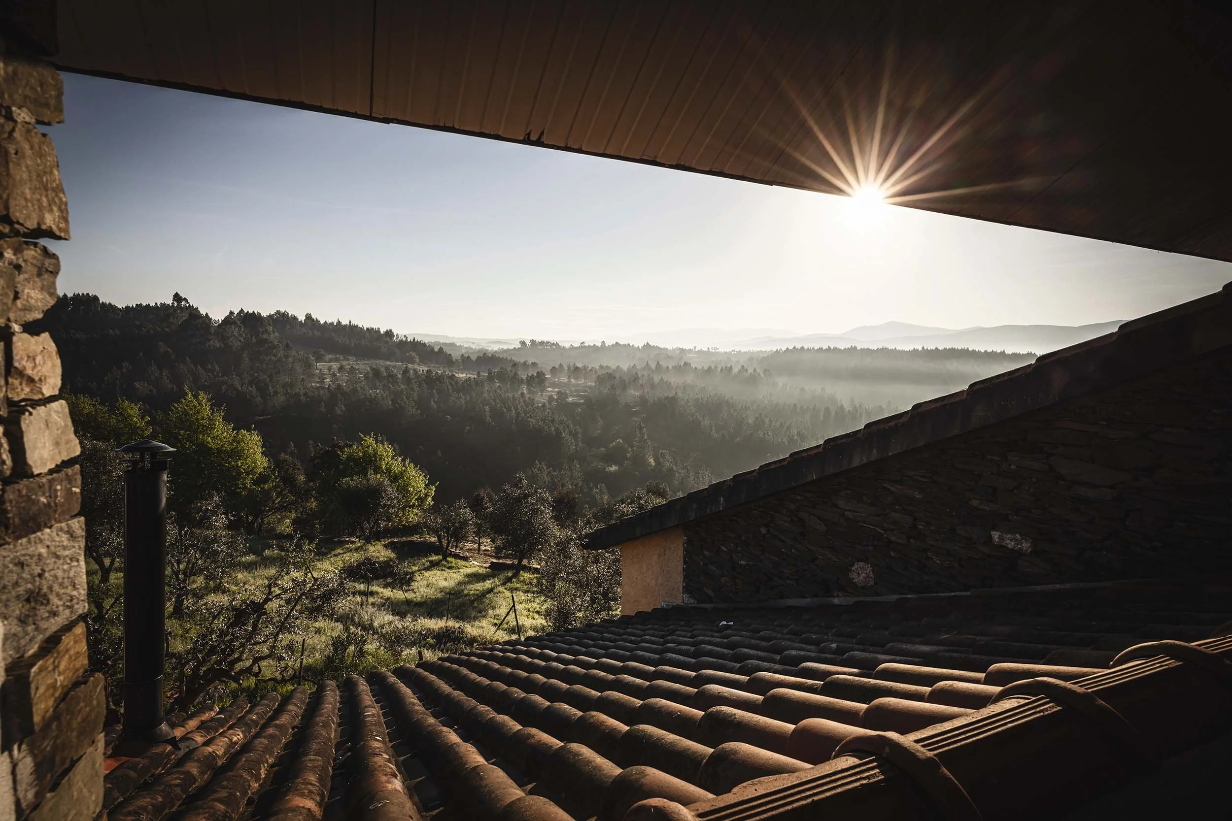 Quinta Vale Das Botas Portugal William Maanders 6815 WLR.jpg