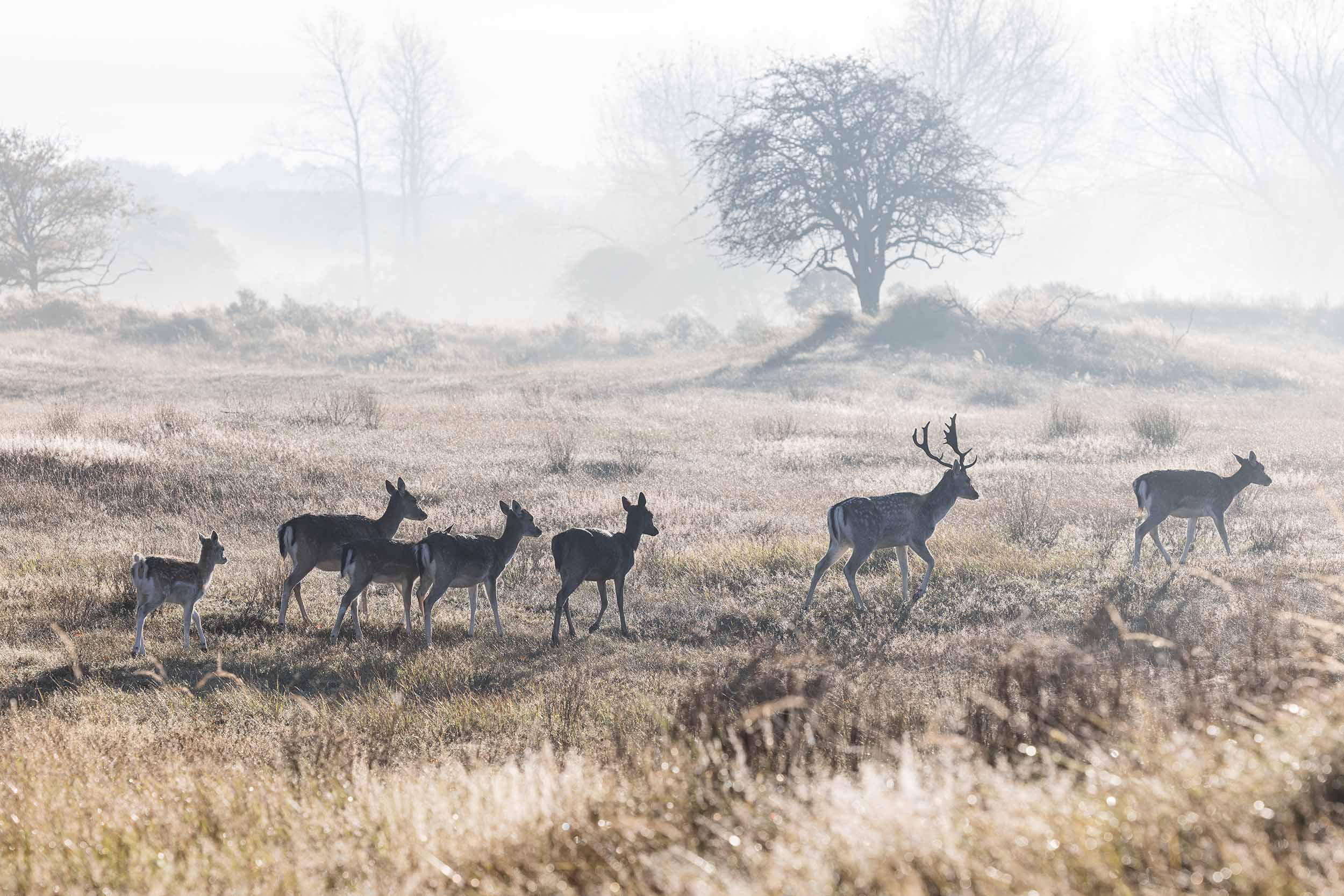 2O0A5005 AWD William Maanders WLR.jpg