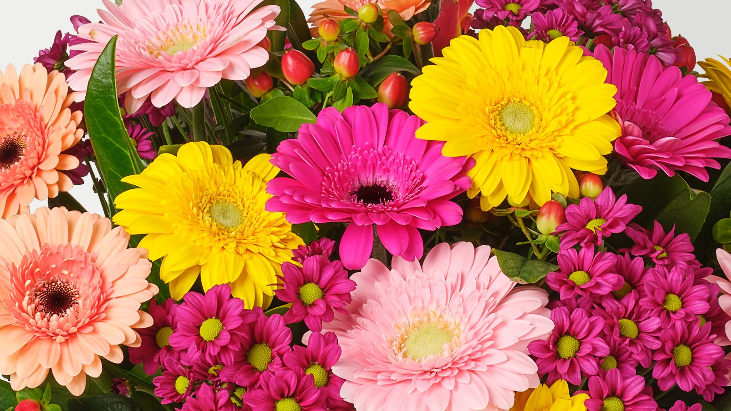 Bloemen_Winter_gezellige_gerbera_B_CROP.jpg