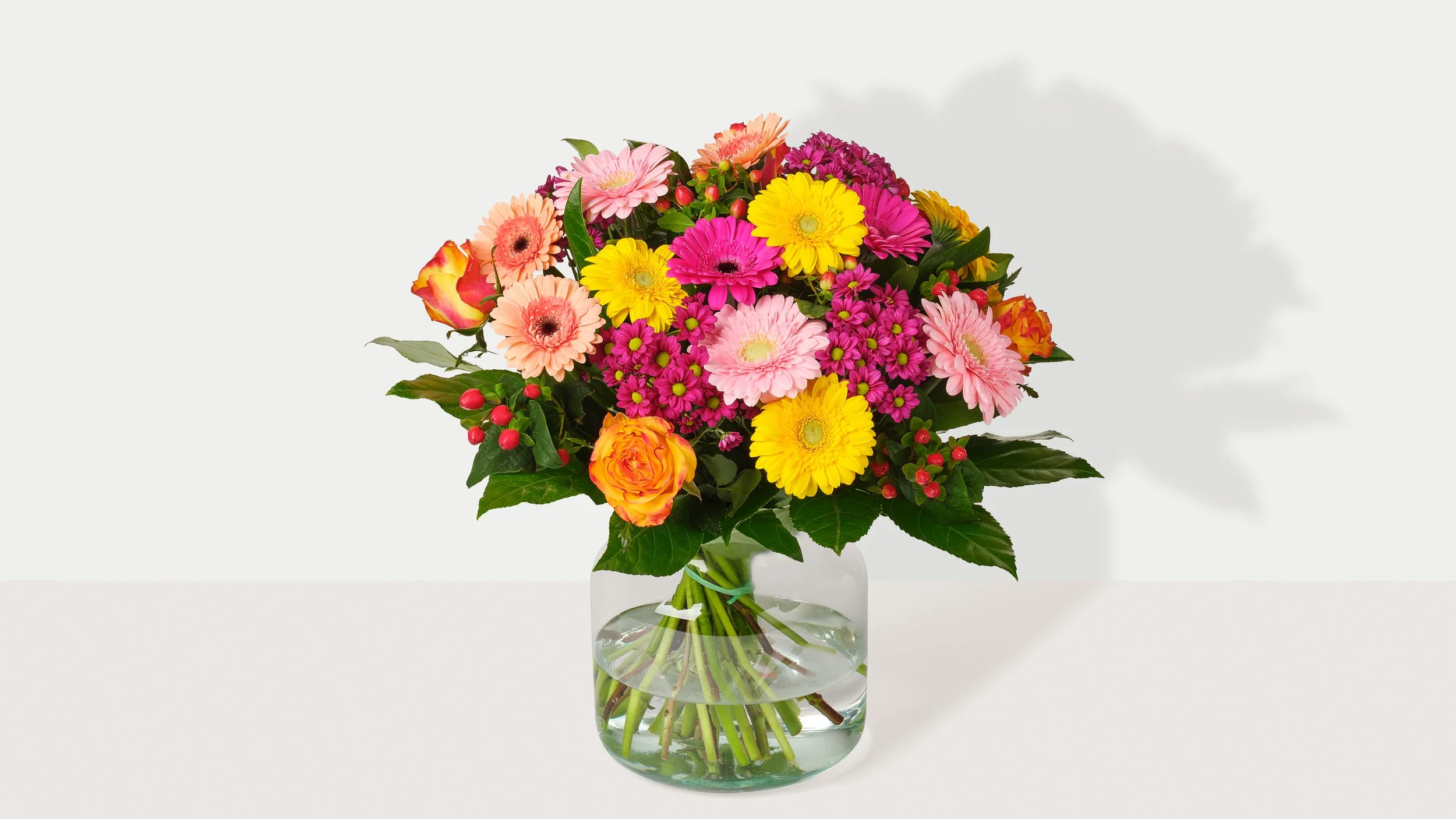 Bloemen_Winter_gezellige_gerbera_B.jpg