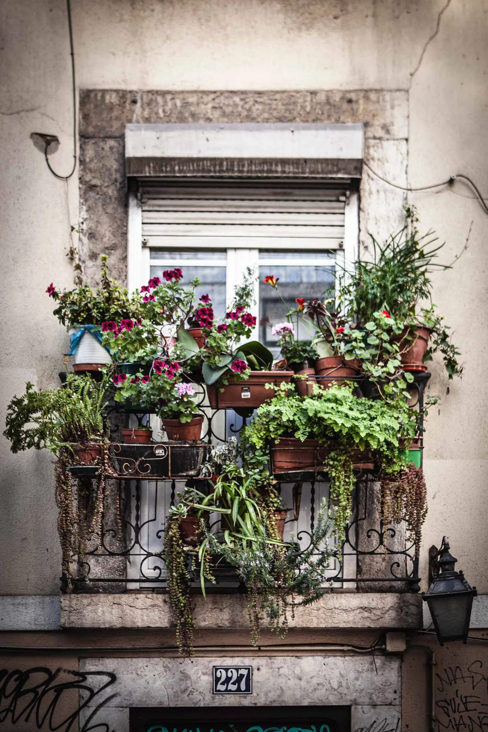 Lisboa Portugal William Maanders 7728 WLR.jpg