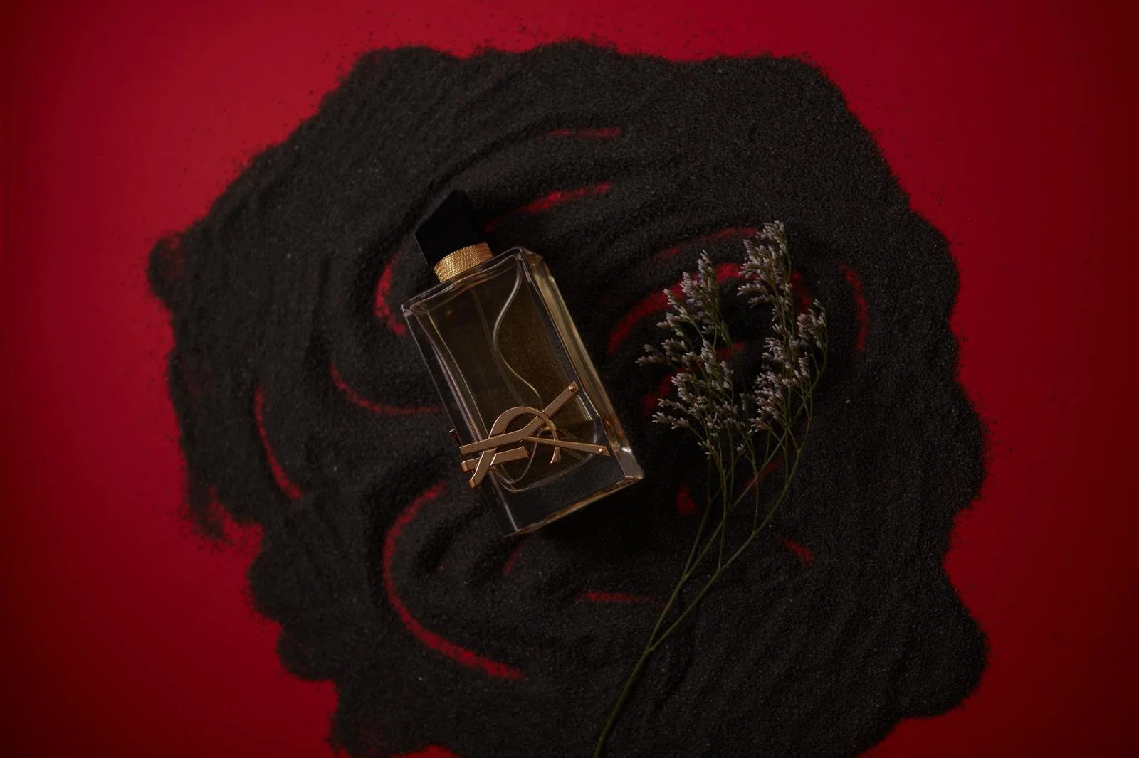 WhatsApp Image 2023-01-13 at 12.49.53 PM.jpeg