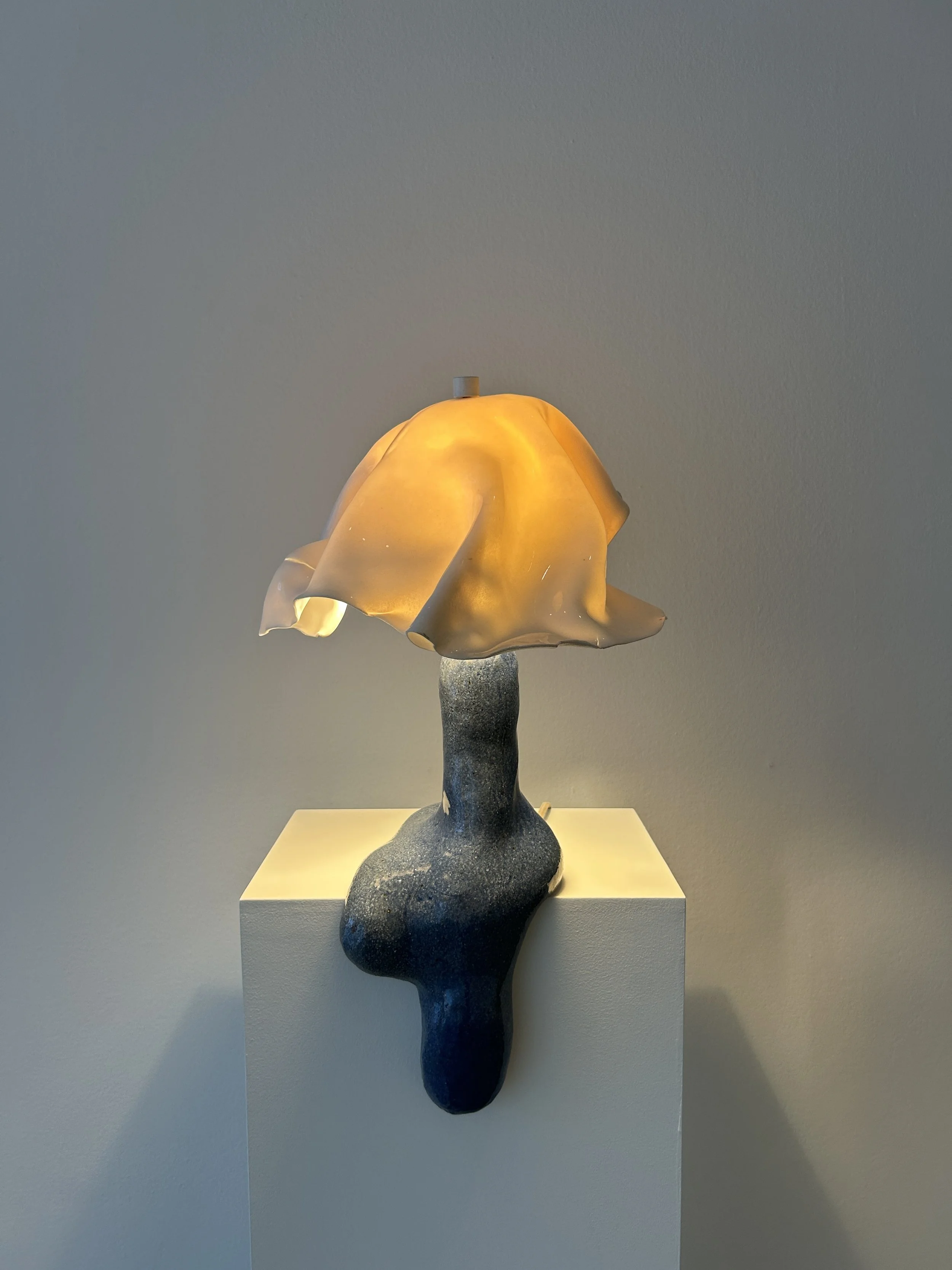 Carmen D'Appollinio at Friedmann Benda