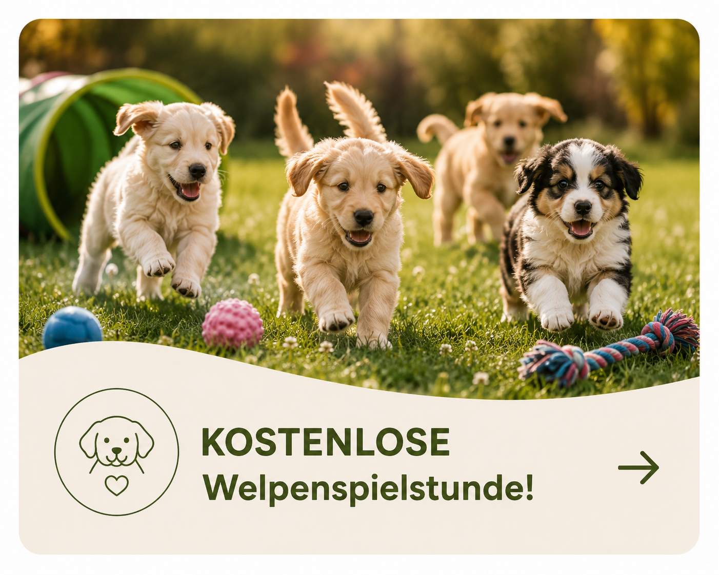 KOSTENLOSE Welpenspielstunde!