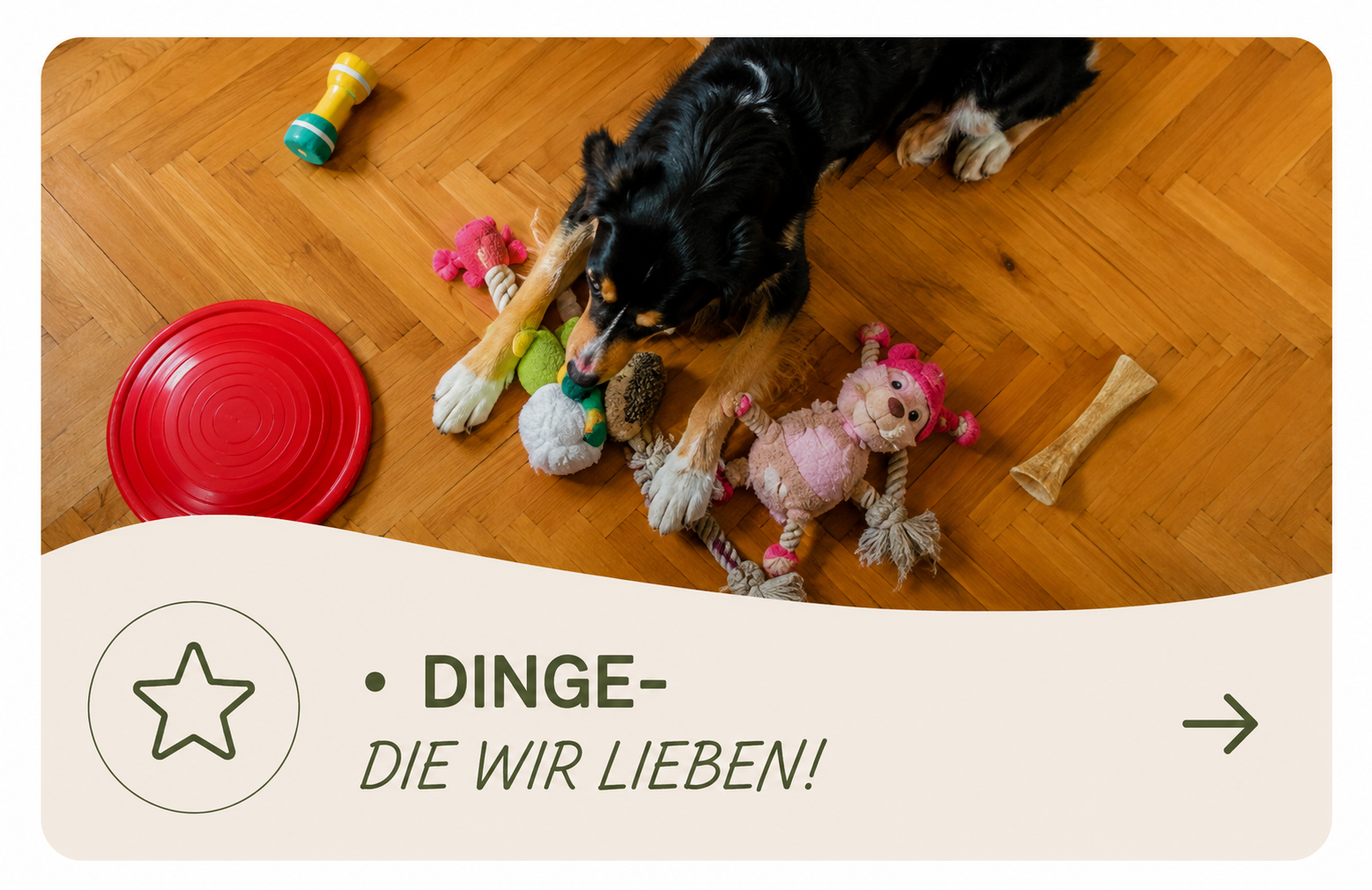Dinge, die wir lieben!