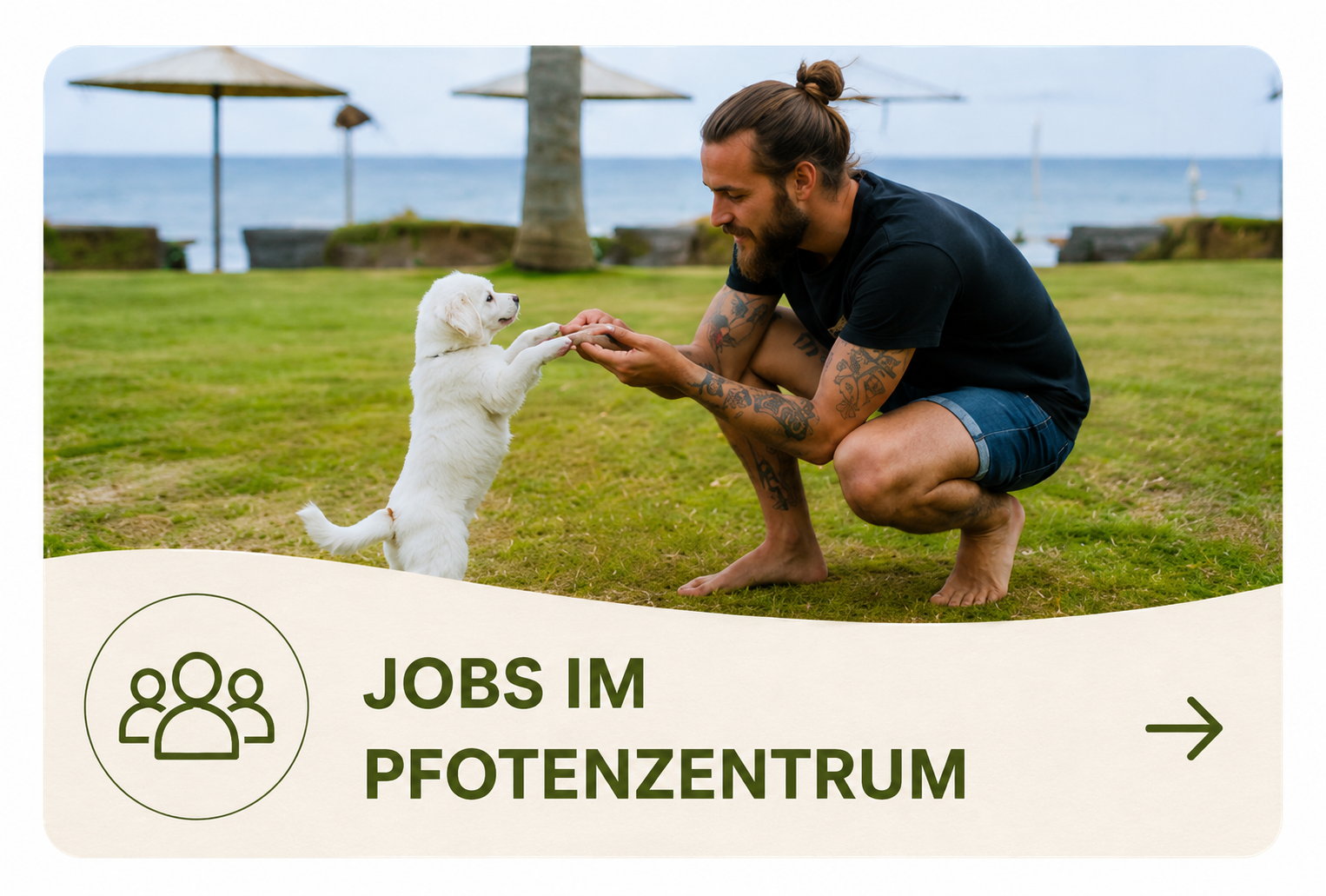 Jobs im Pfotenzentrum