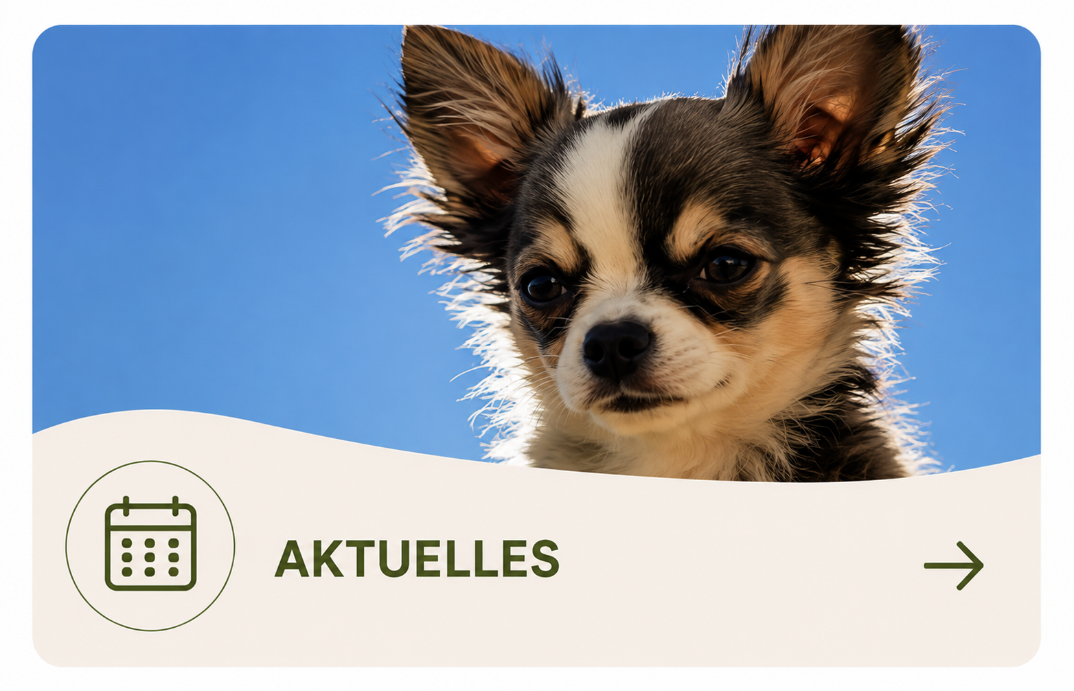 Aktuelles