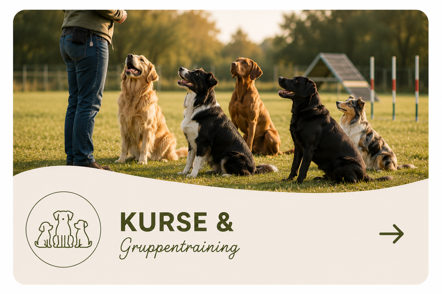 Gruppenkurse