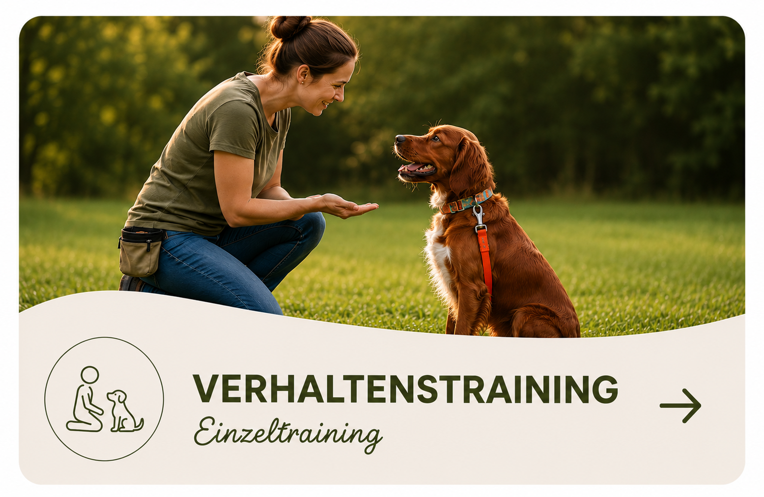 Verhaltenstraining für Hunde
