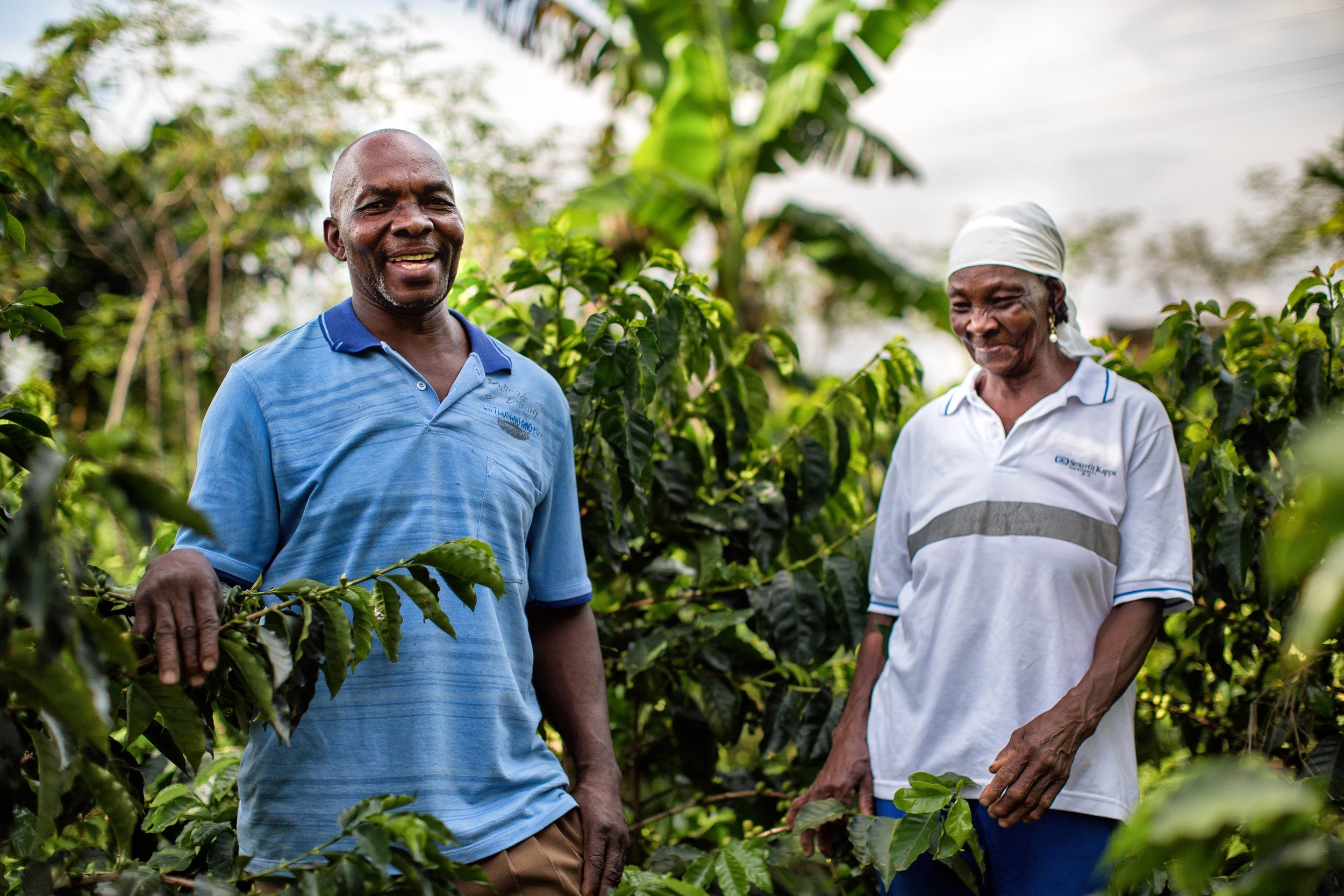 Caficultor negro y su madre IV.jpg