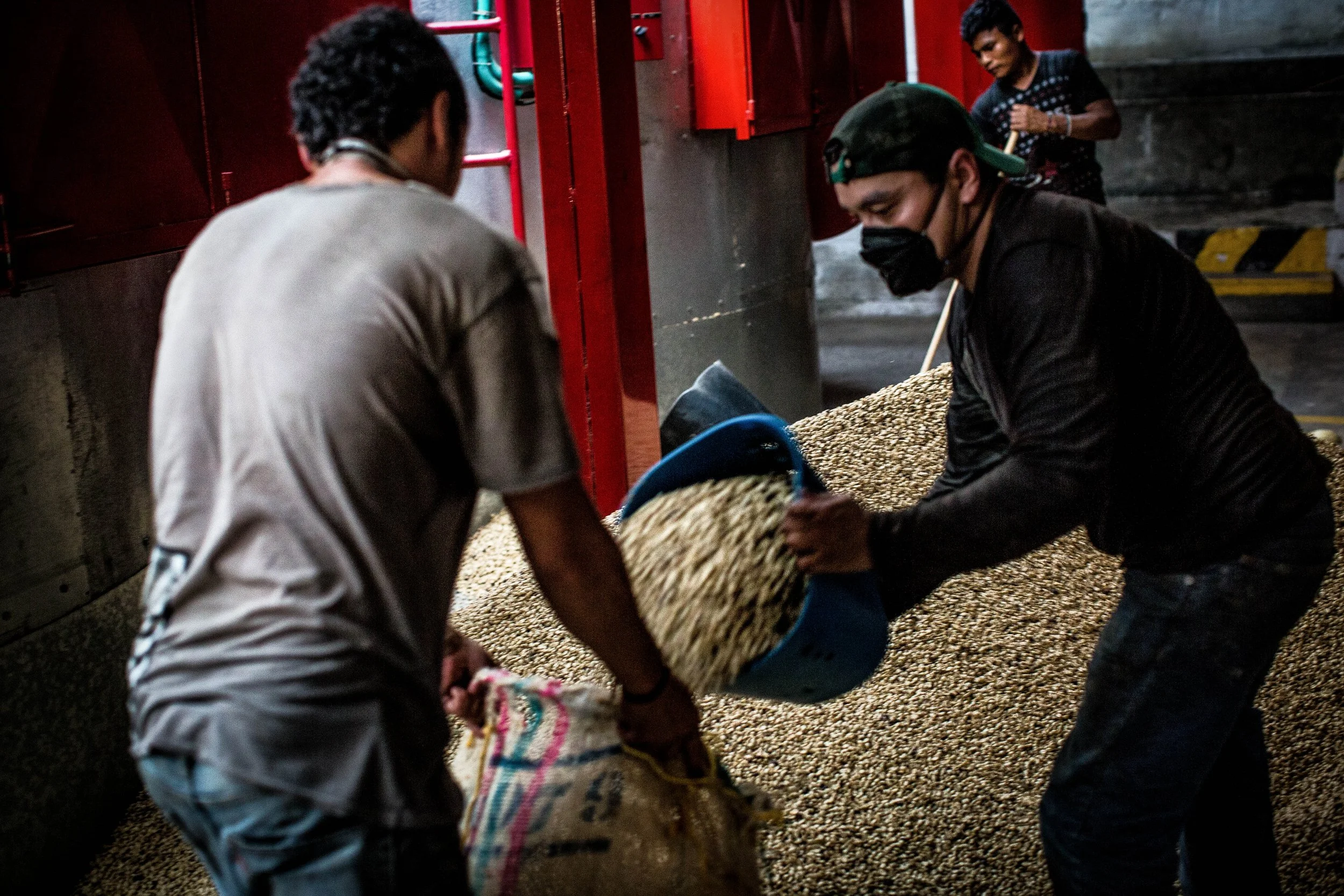 15. Obreros en el beneficiadero 2.JPG