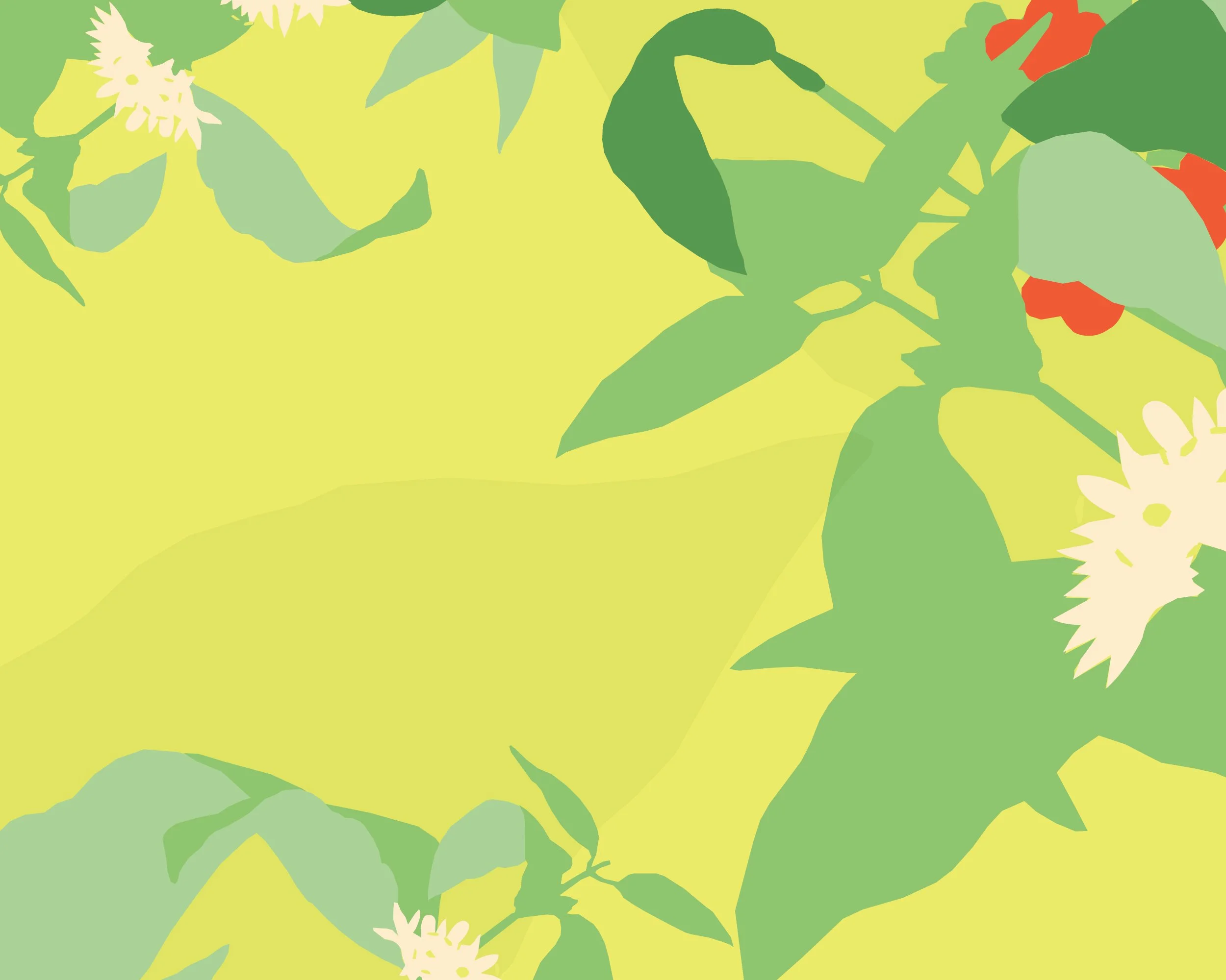 Power Lounge — Specialty Coffee Expo