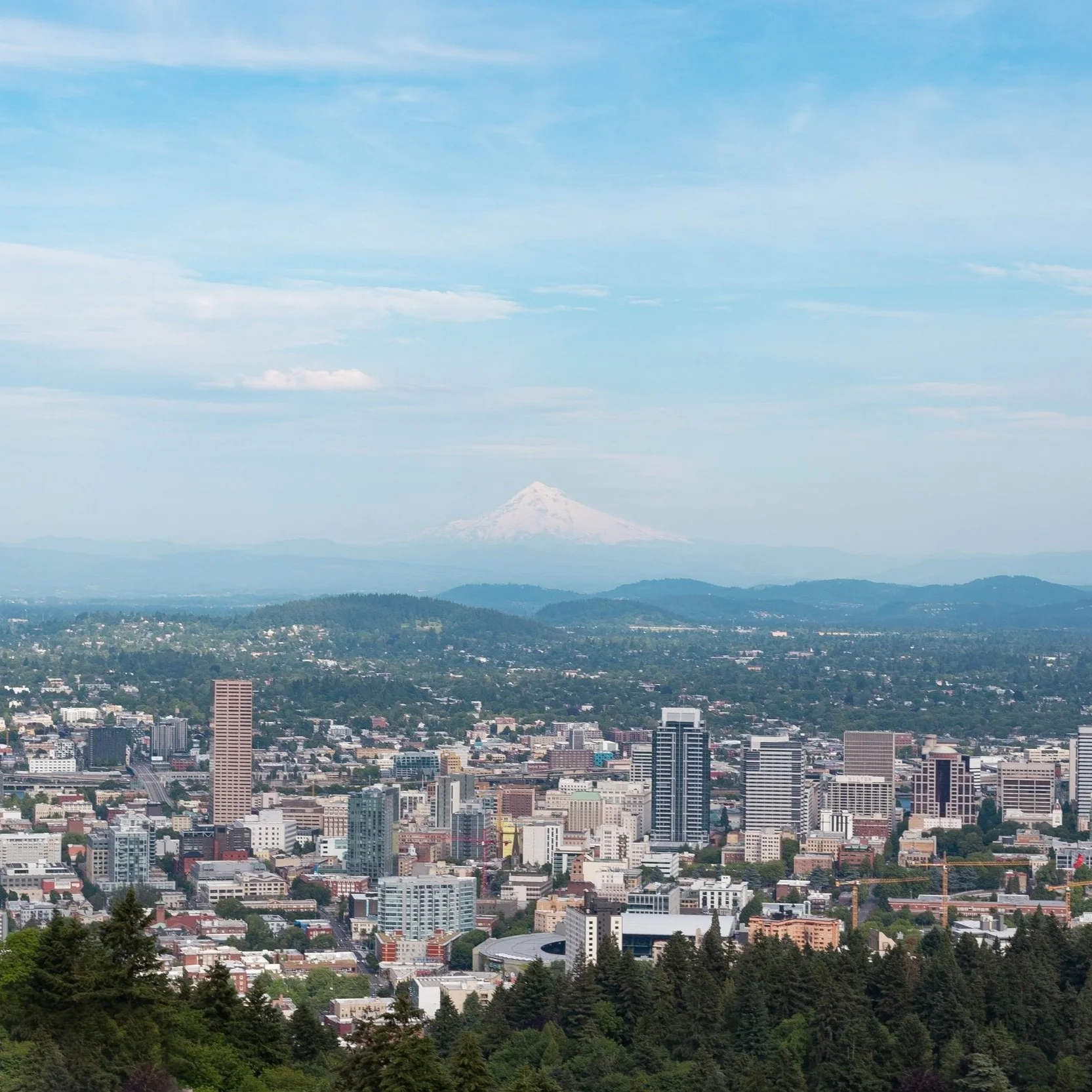 Specialty Coffee Expo