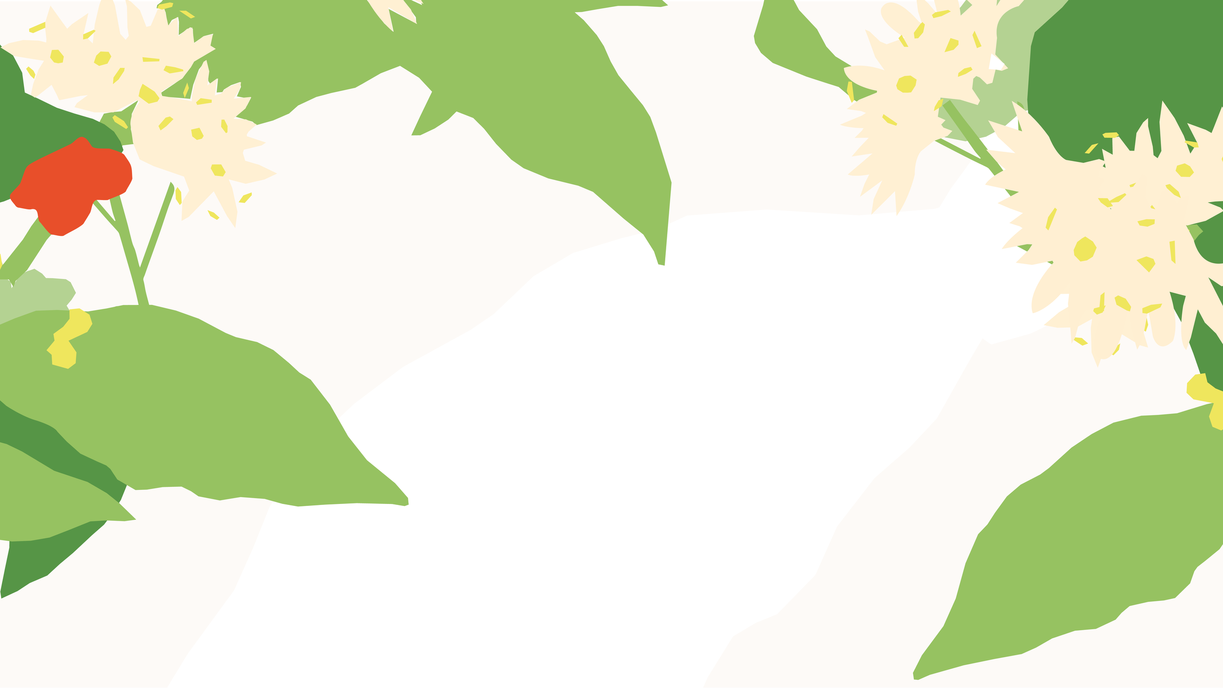 Specialty Coffee Expo