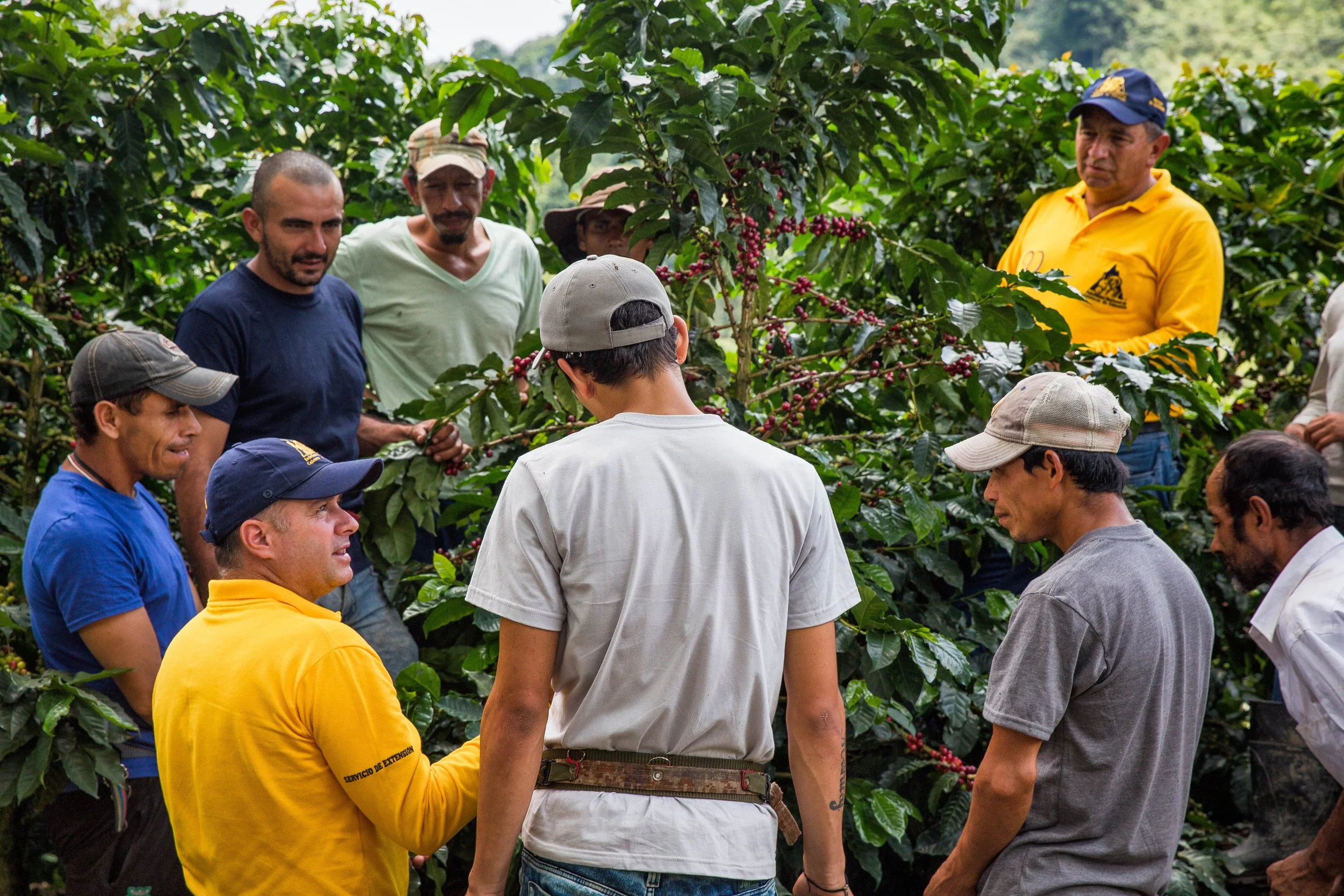 84. Extencionista explicando 3.jpg